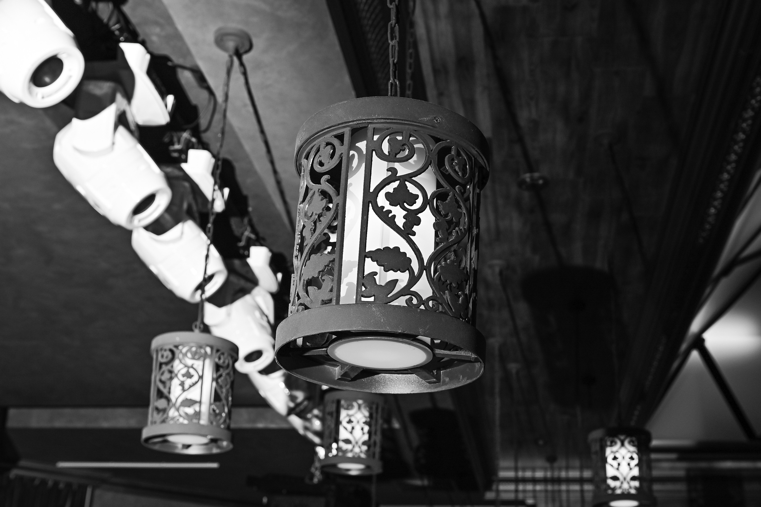 ВМЕСТЕ — Белгород. Свадебный фотограф в Белгороде Владимир Золотарев