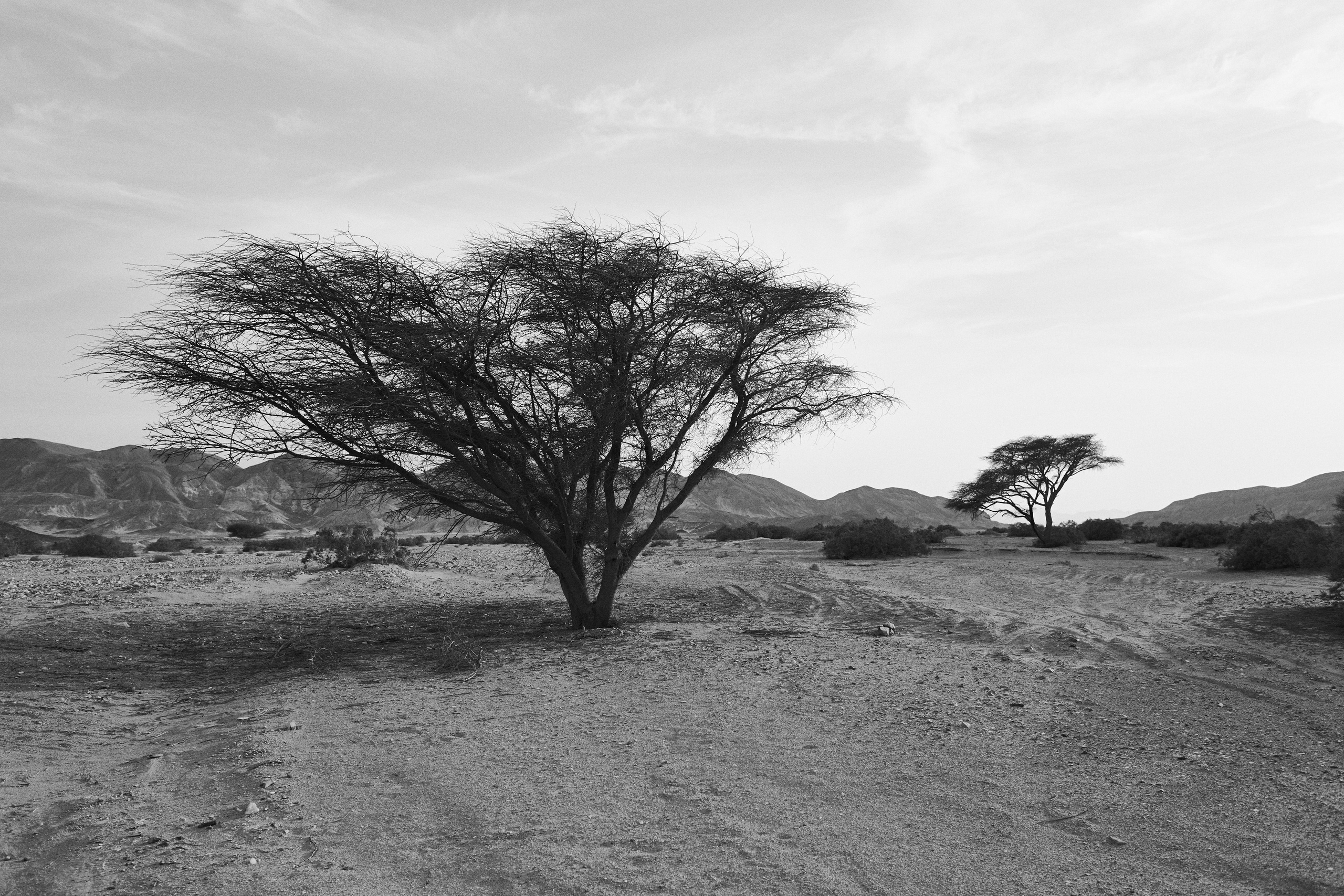 B&W. Jorgis — фотограф в Хургаде / обучение фотографии