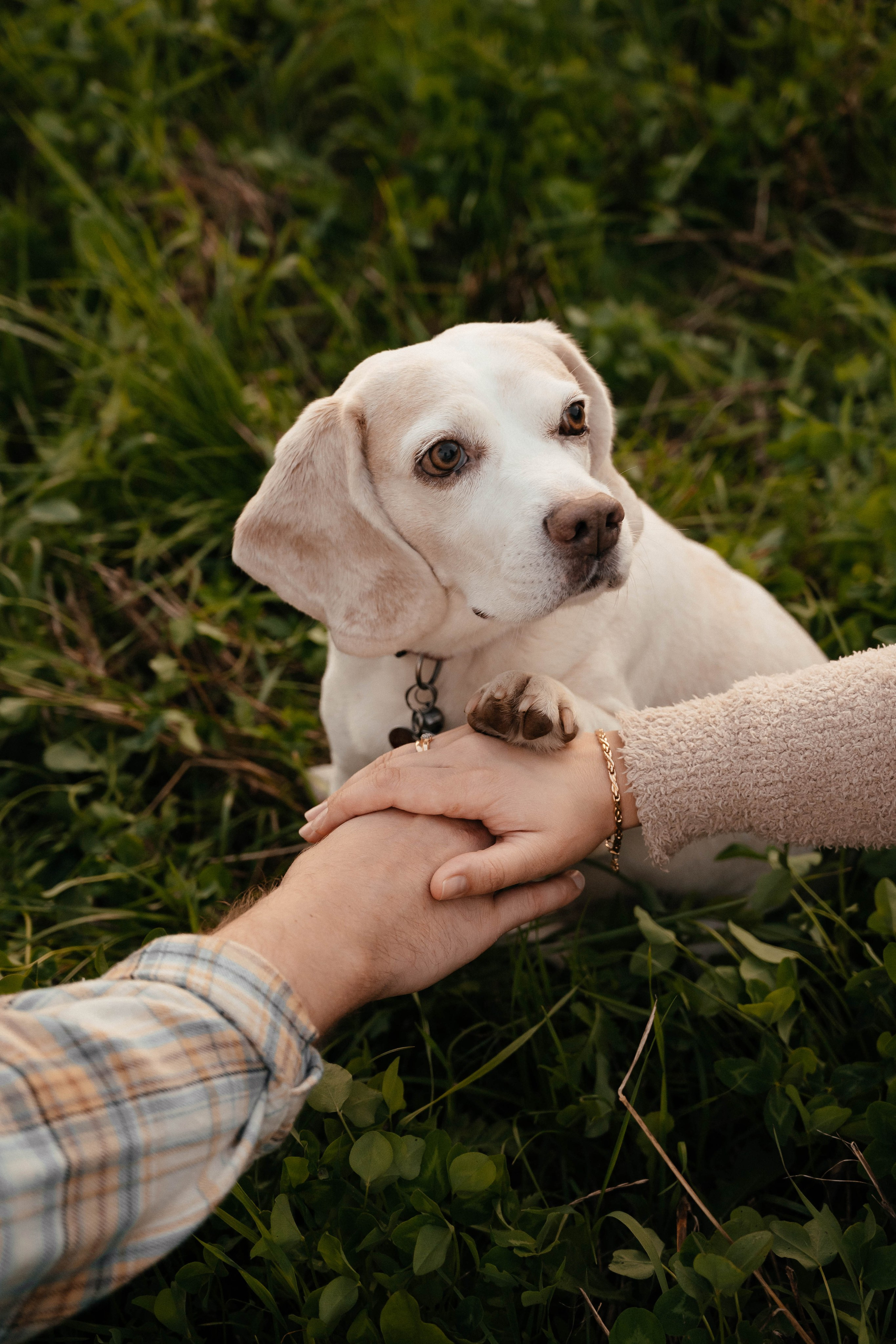 Съёмка love story для Дарьи и Андрея. Свадебный и семейный фотограф г. Ярославль Савинская Анастасия