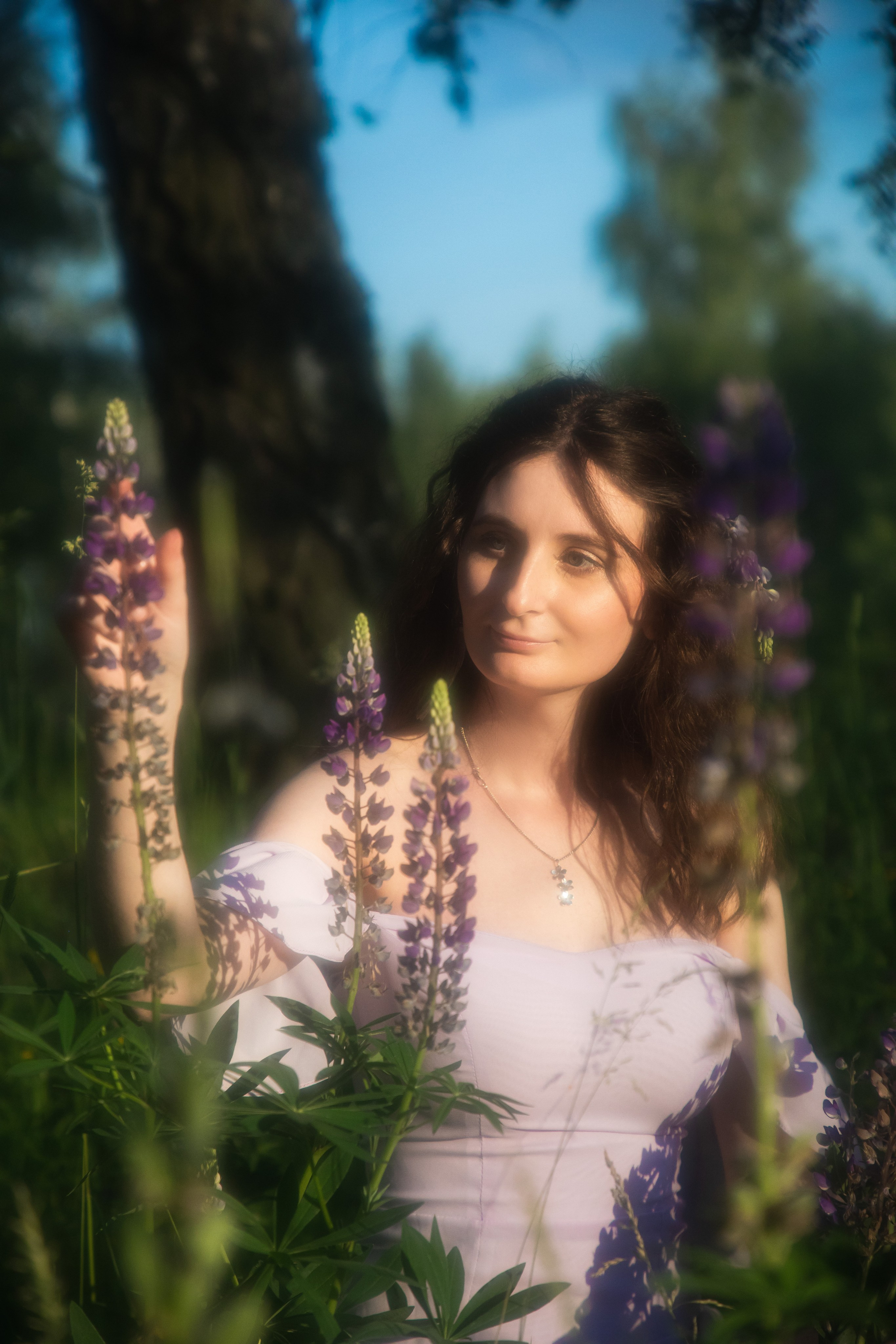 Люпиновое поле. Юлия Башкатова, сказочный фотограф, Москва