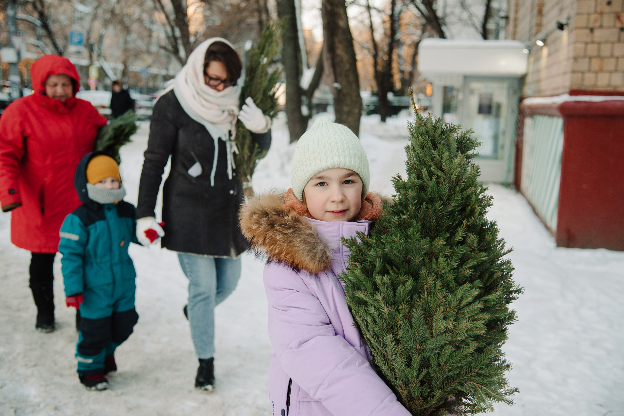 Дина. Предновогоднее. Фотограф Алиса Калинина