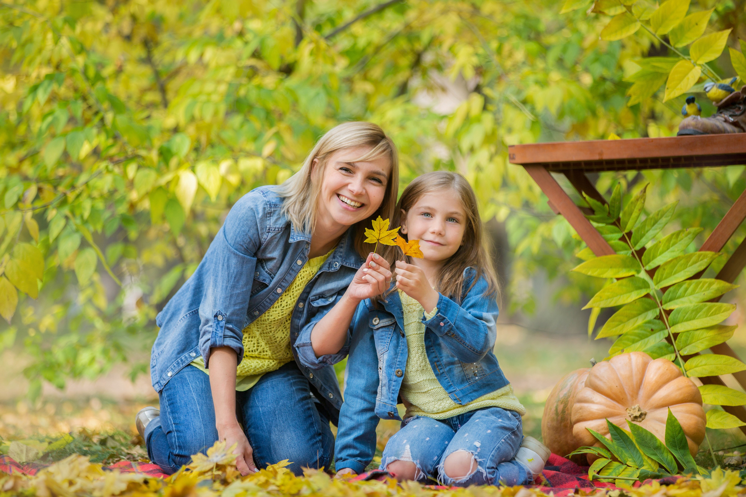 Щенки Сенбернары. Октябрь. Свадебный семейный и детский фотограф в Краснодаре Карина Федоровская