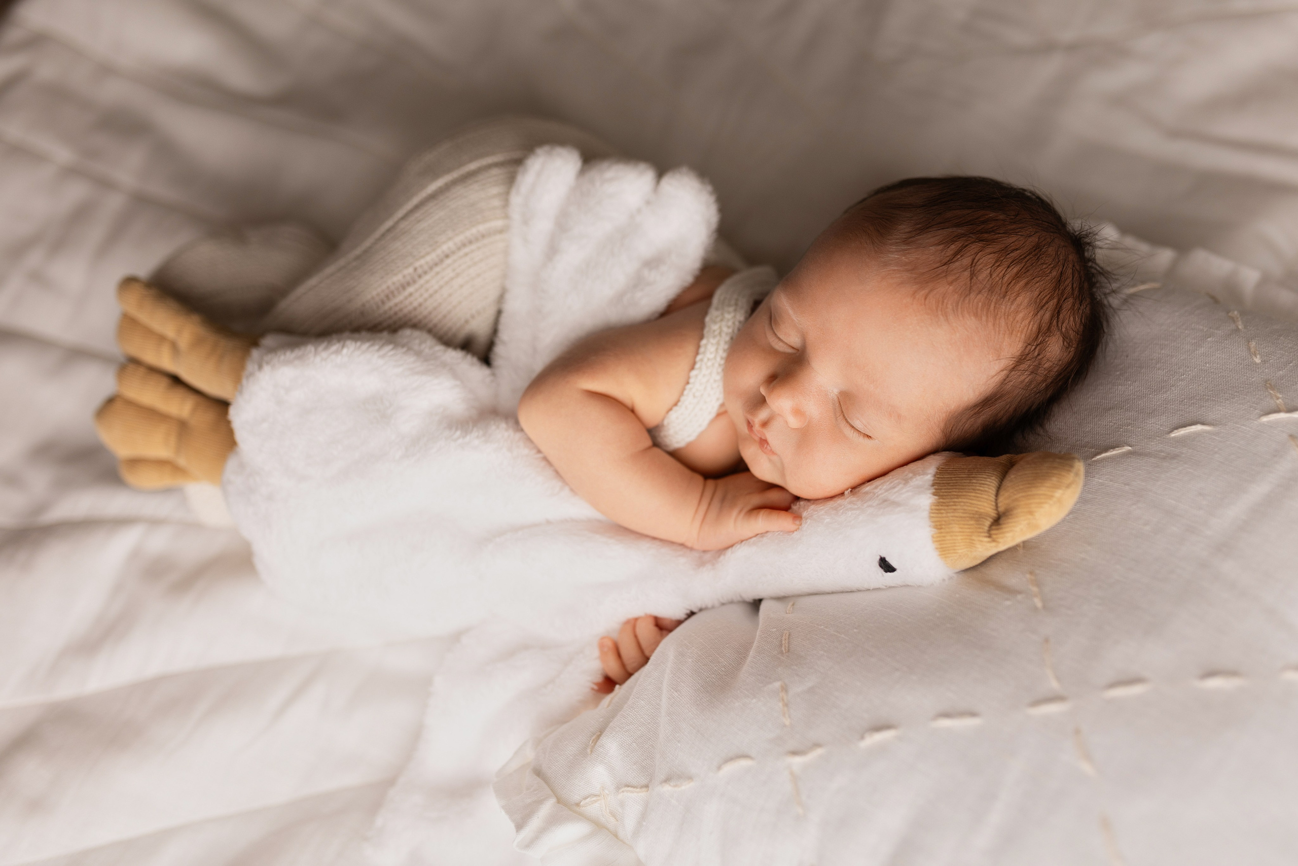 Лев. Лилия Алтухова — фотограф новорожденных в Москве и области