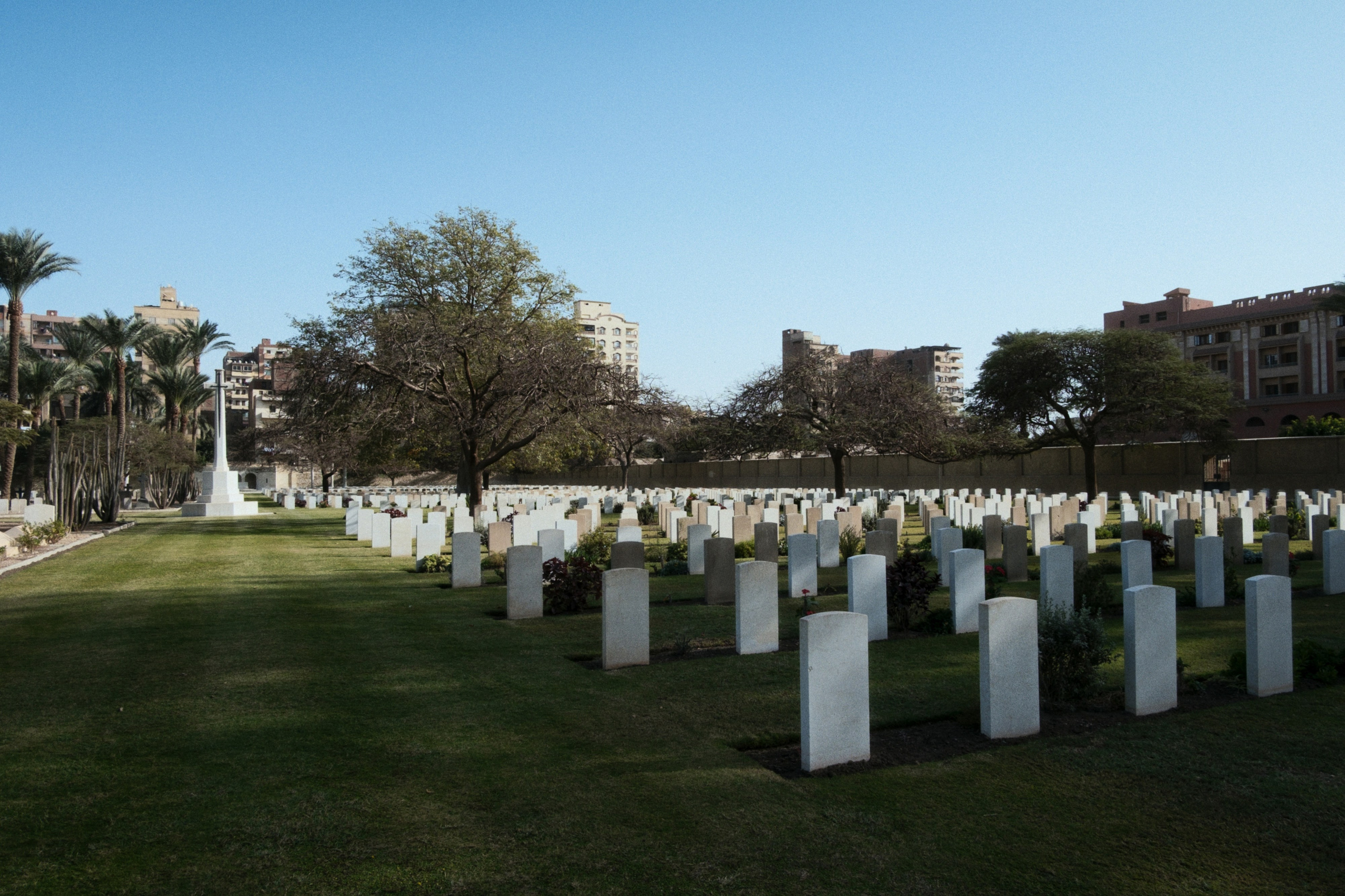 War Memorial Cemetery / Cairo, Egypt AW25. Фотограф Юрин Евгений