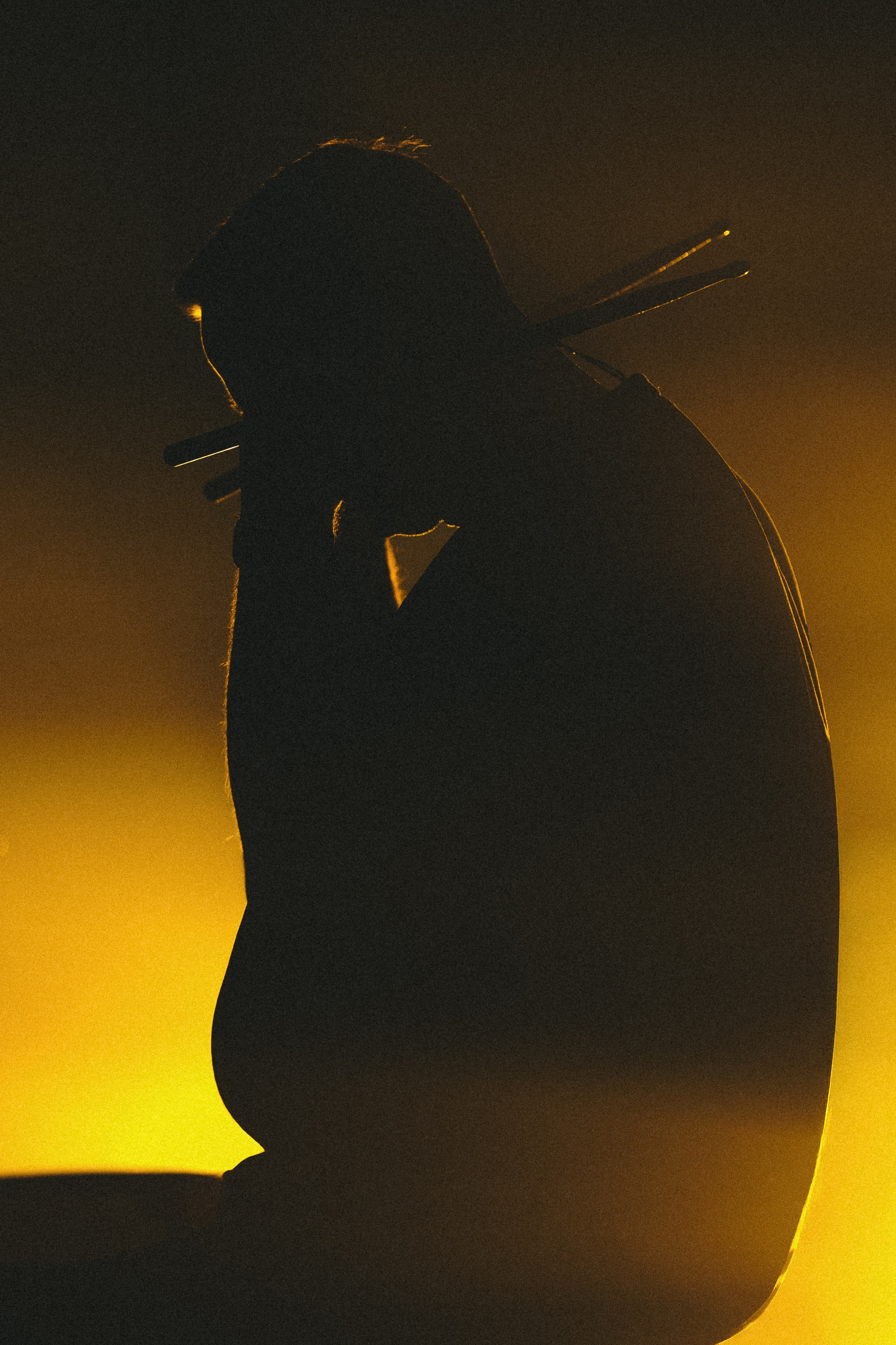 Concert. Репортажный фотограф Дмитрий Ишутинов