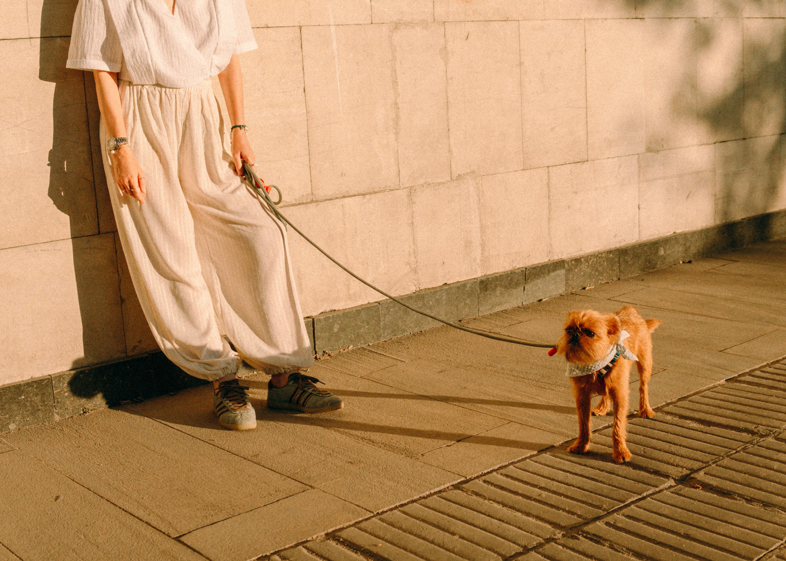 Лена и Альфи. Фотограф-анималист Ксения Воробьева, Москва