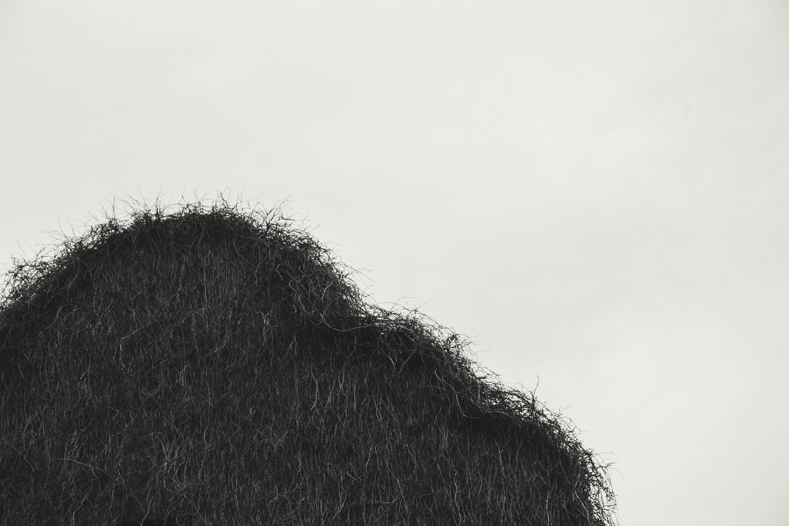 Калининград, декабрь 2025. Фотограф в Ярославле Ольга Пыненкова