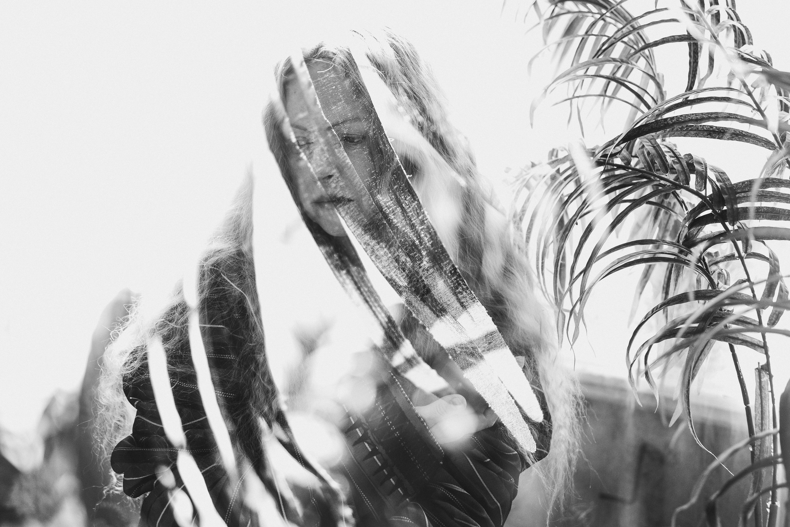 КАРТИНКИ С ВЫСТАВКИ. ФОТОИСТОРИЯ. ПОЙМАТЬ УСКОЛЬЗАЮЩУЮ КРАСОТУ