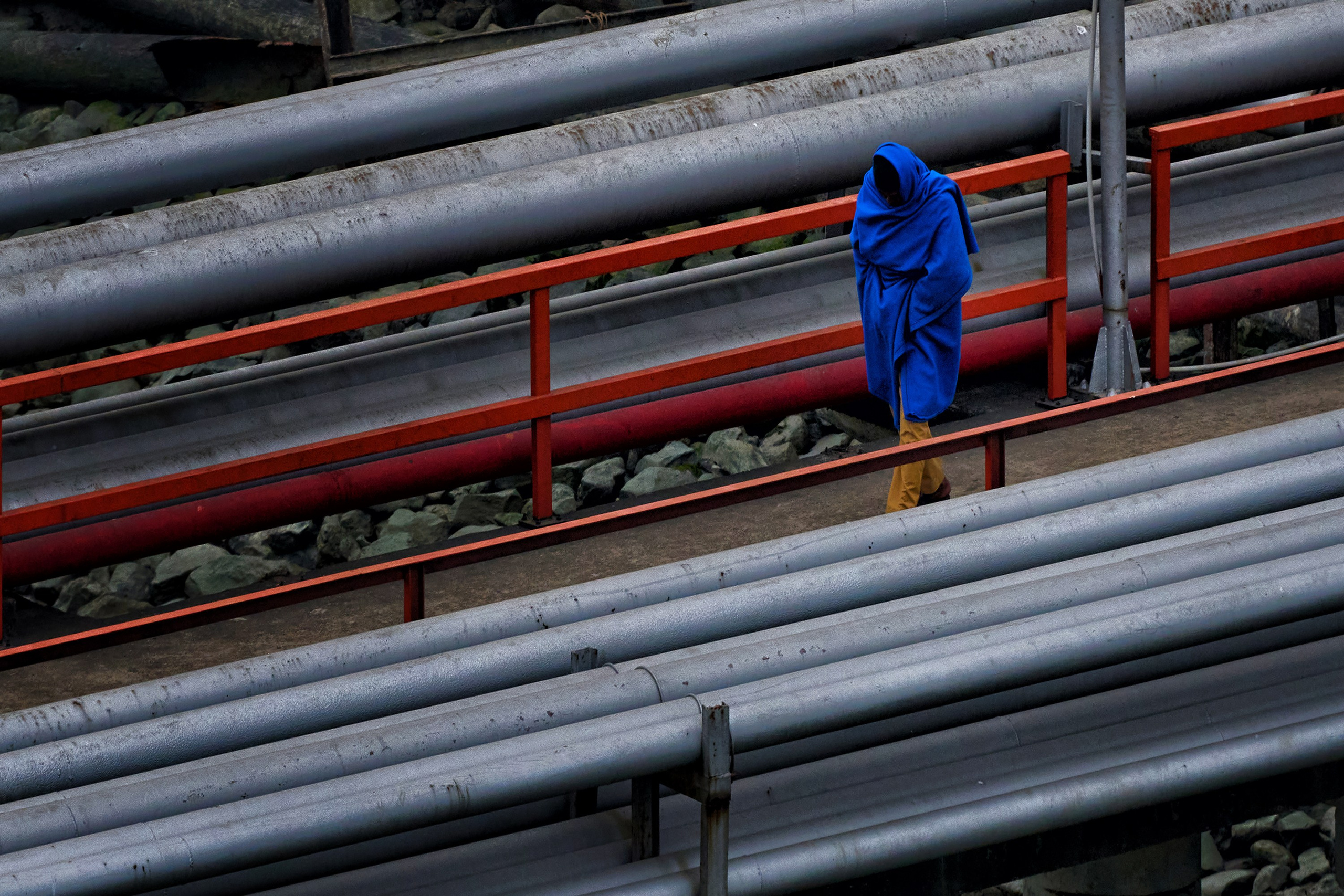 Жизнь, люди, стрит, вокруг, животные, на улице. Яркие фото на Чёрном море