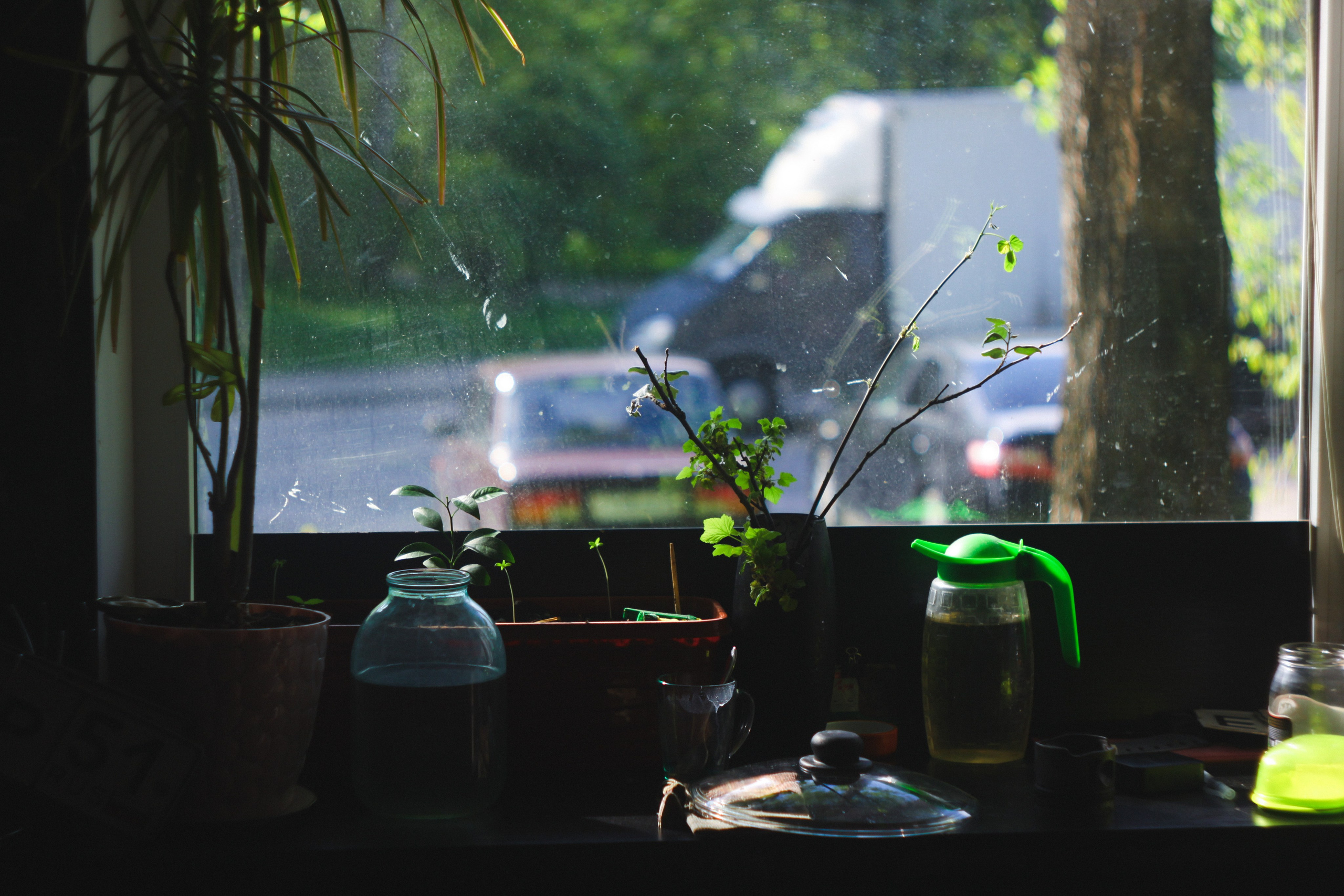 Birthday. Den Mirov — Photographer, Musician