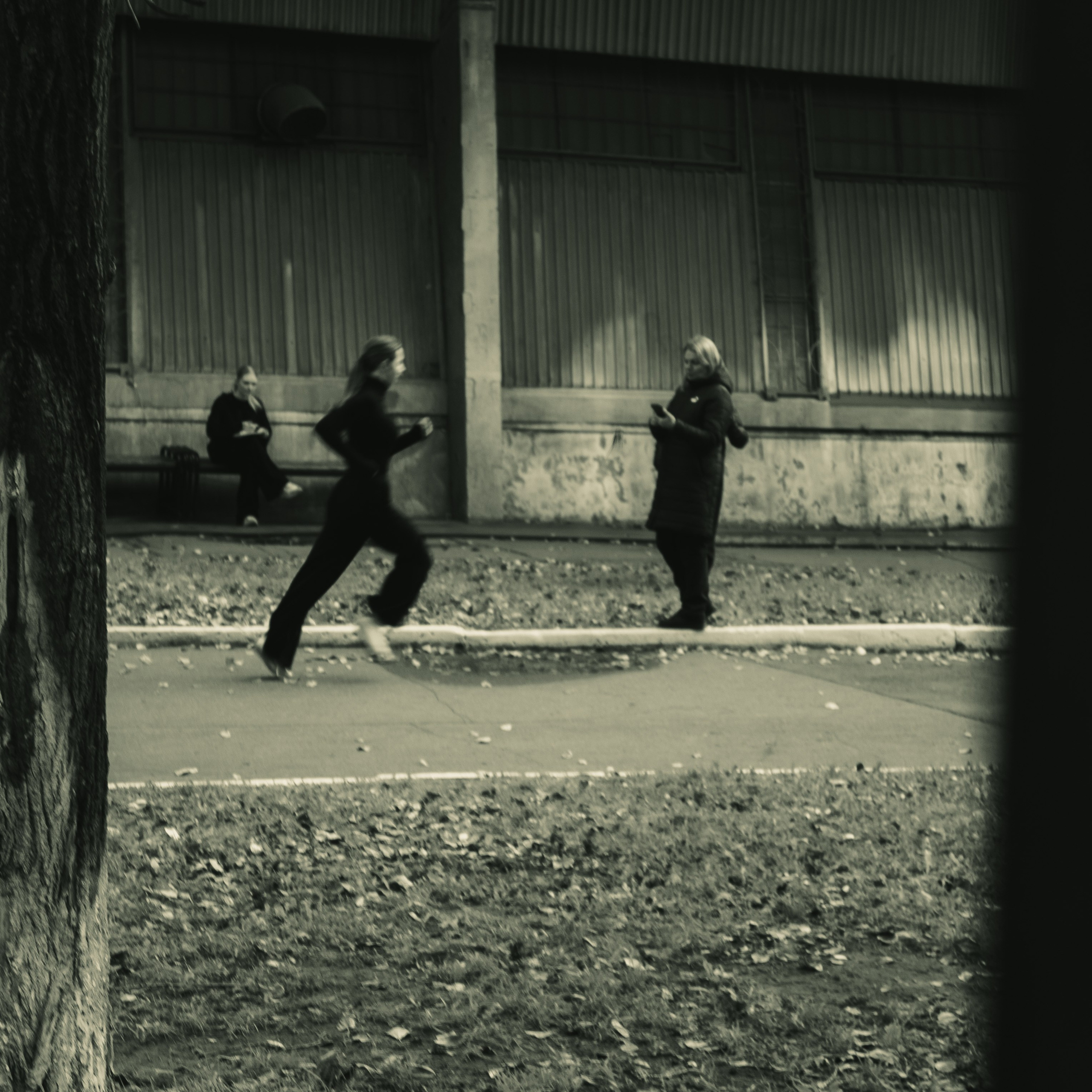 Сентябрь 2025. Den Mirov — Фотограф, Музыкант