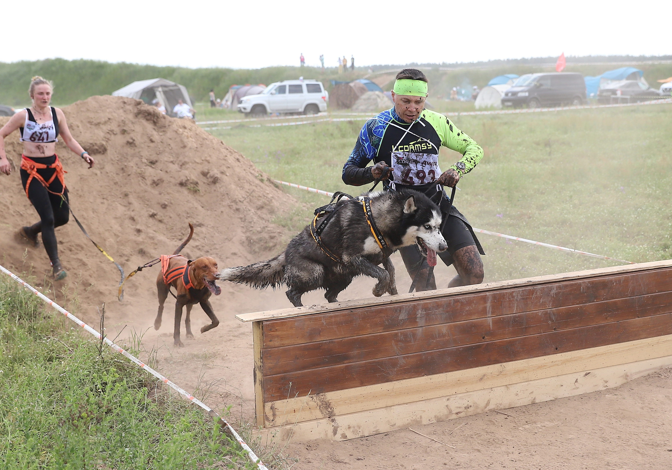 Хвостатый драйв. Семейный и детский фотограф в Москве и МО Елена Москвичева