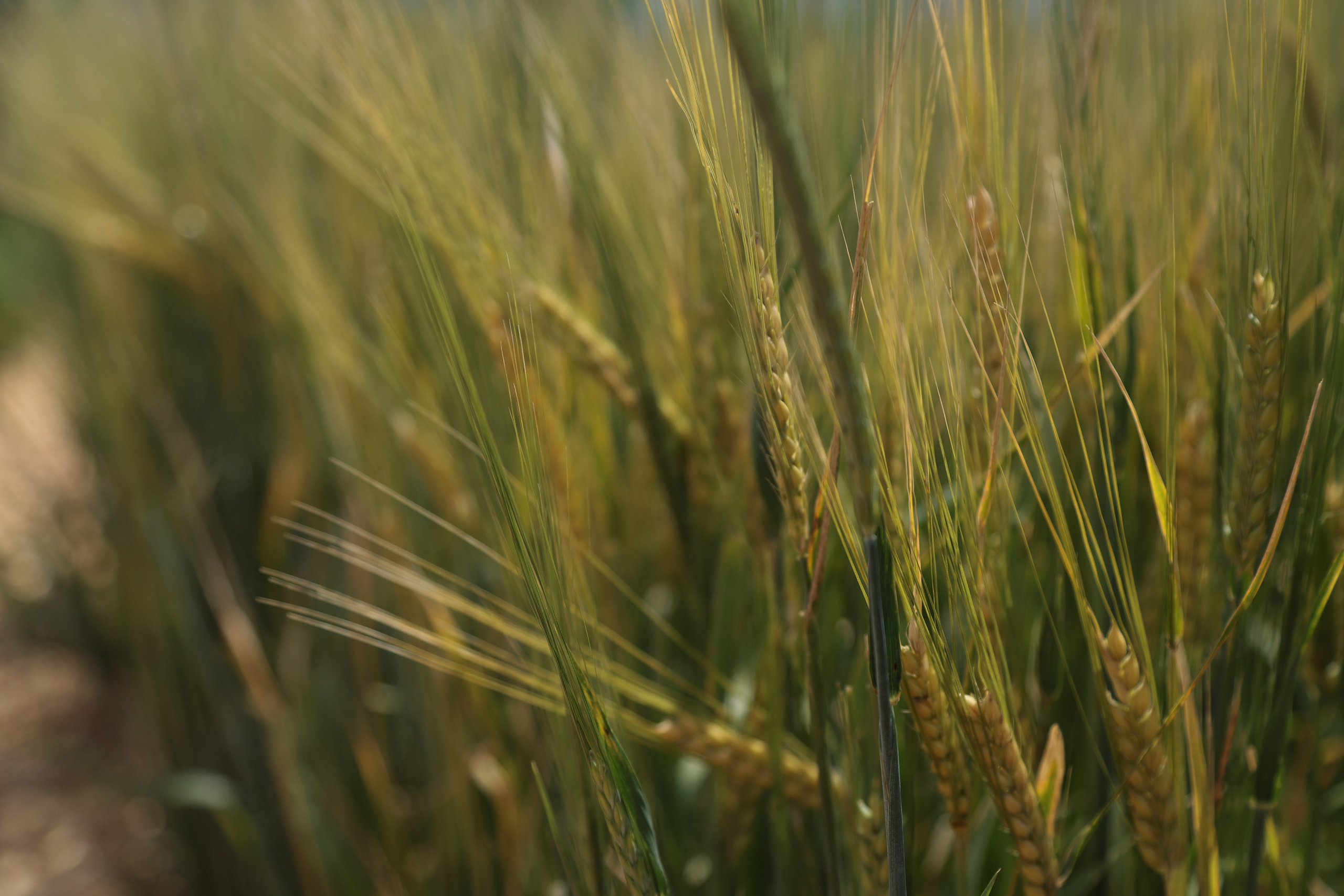 Репортаж. Женский и контент фотограф Данилина Ирина в Москве