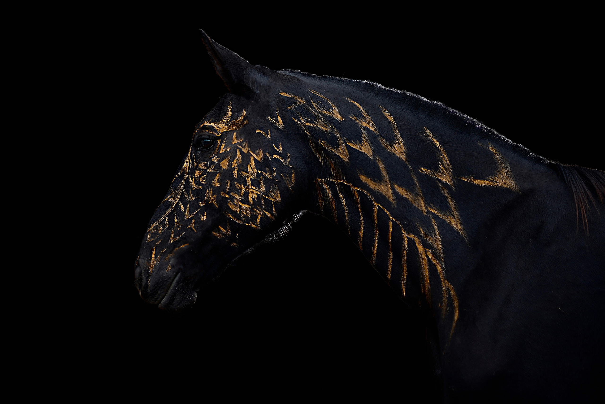 Княжа. Фотограф в Севастополе