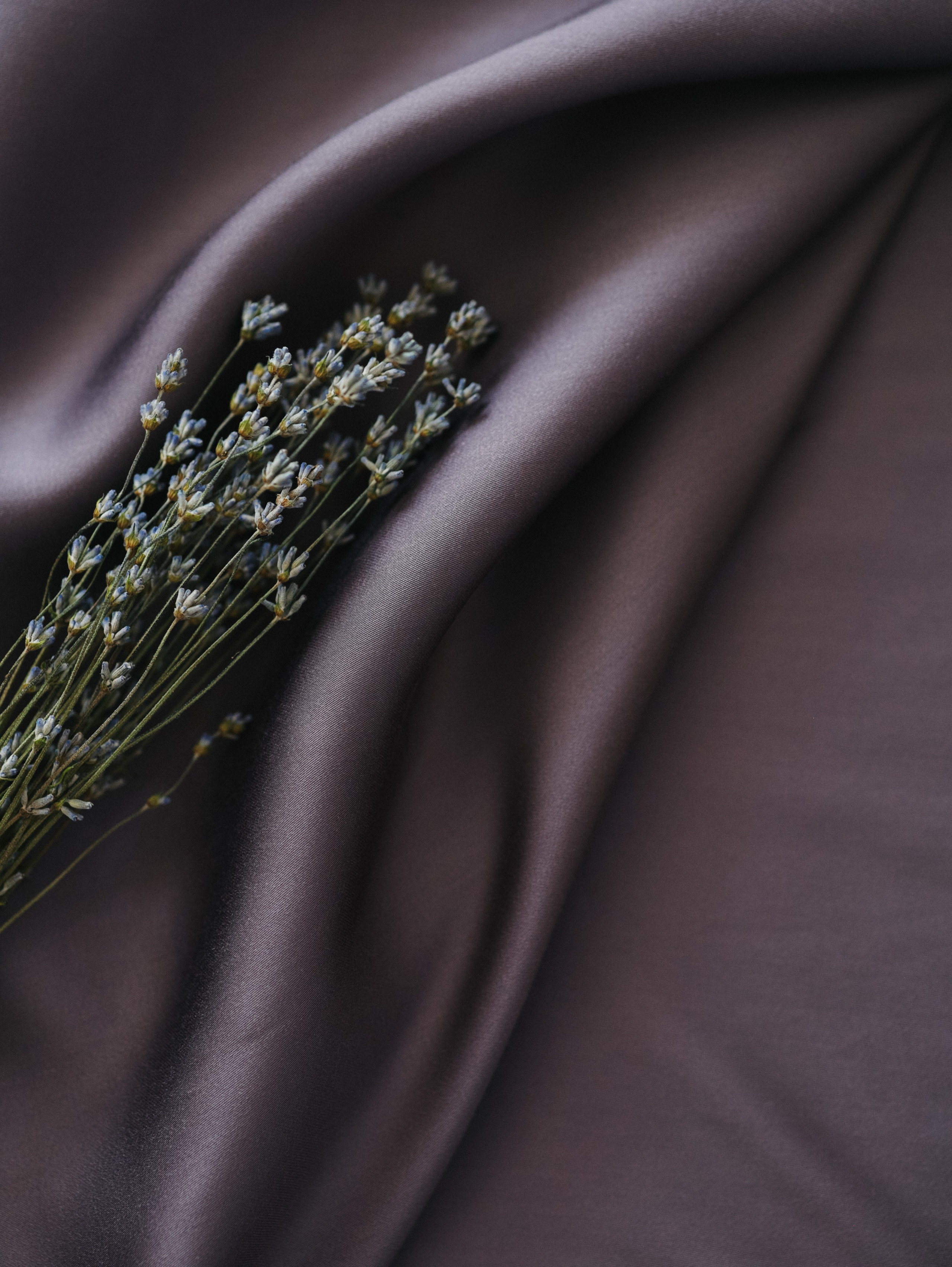 Постельное тенсель. Алёна Стерхова — Предметный и портретный фотограф. Ижевск