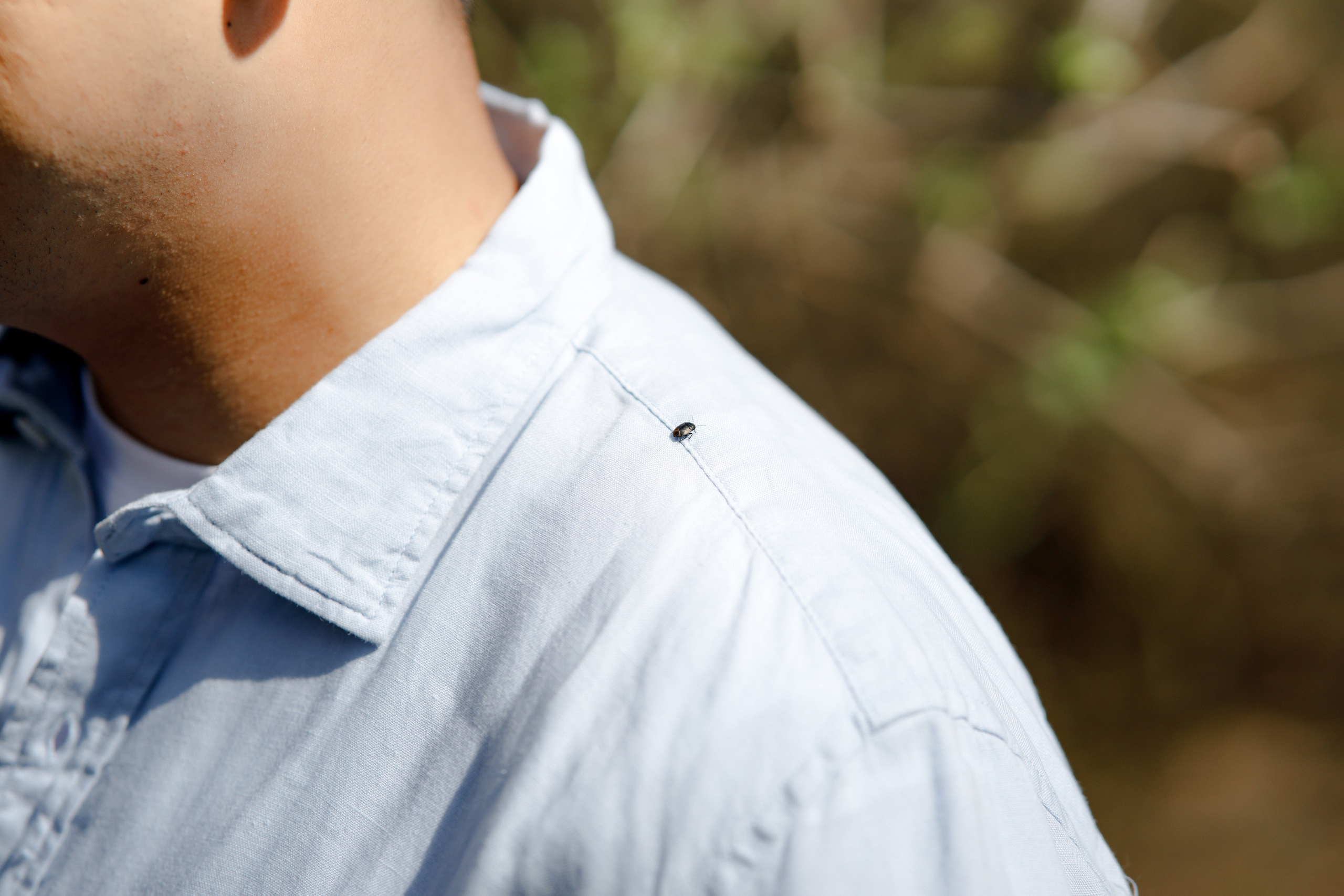 Dmitri & Katya. Wedding and Love story Photographer