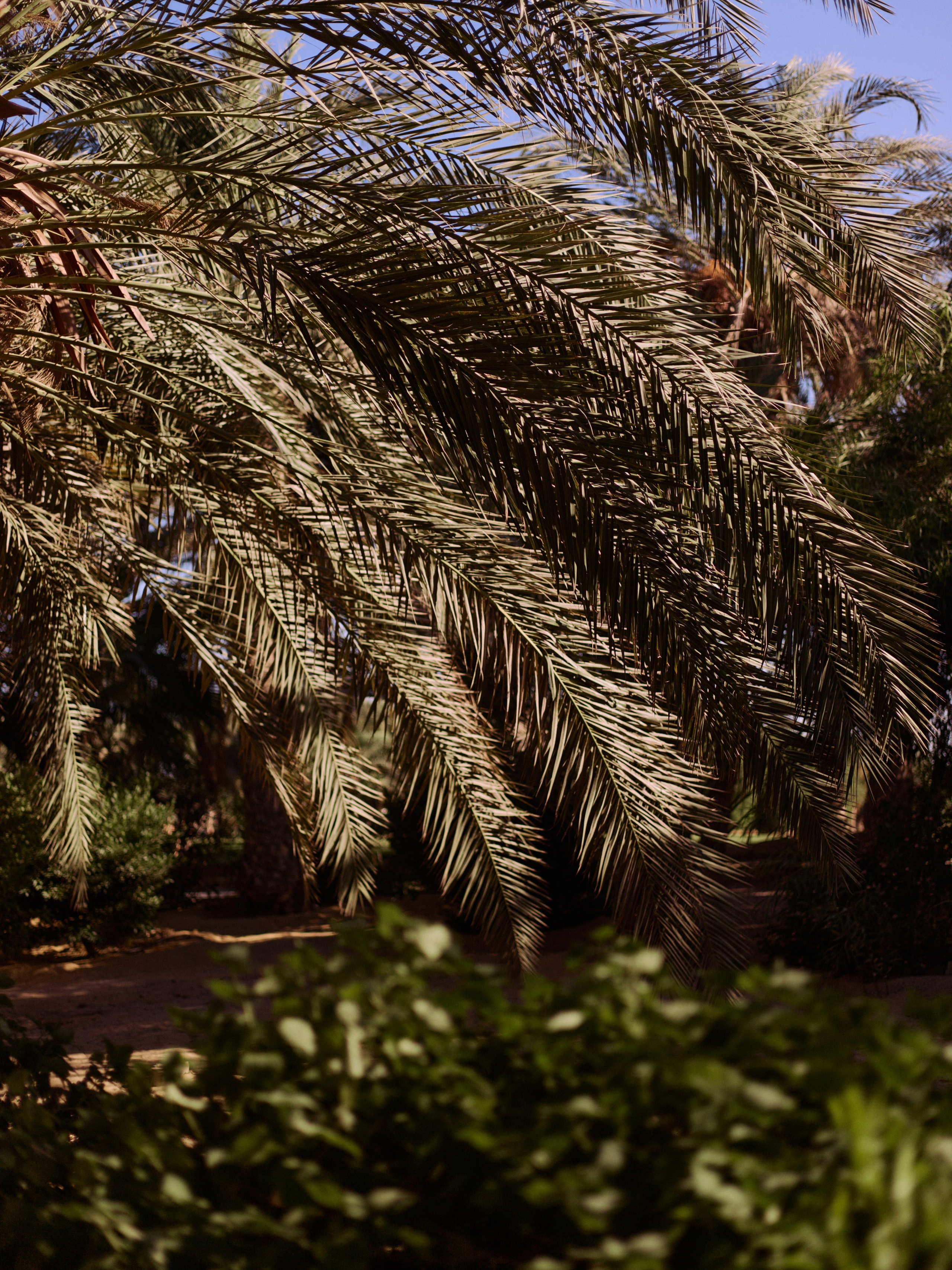 Другое 3. Jorgis Talè — photographer, kind person, teacher of arts and other mag