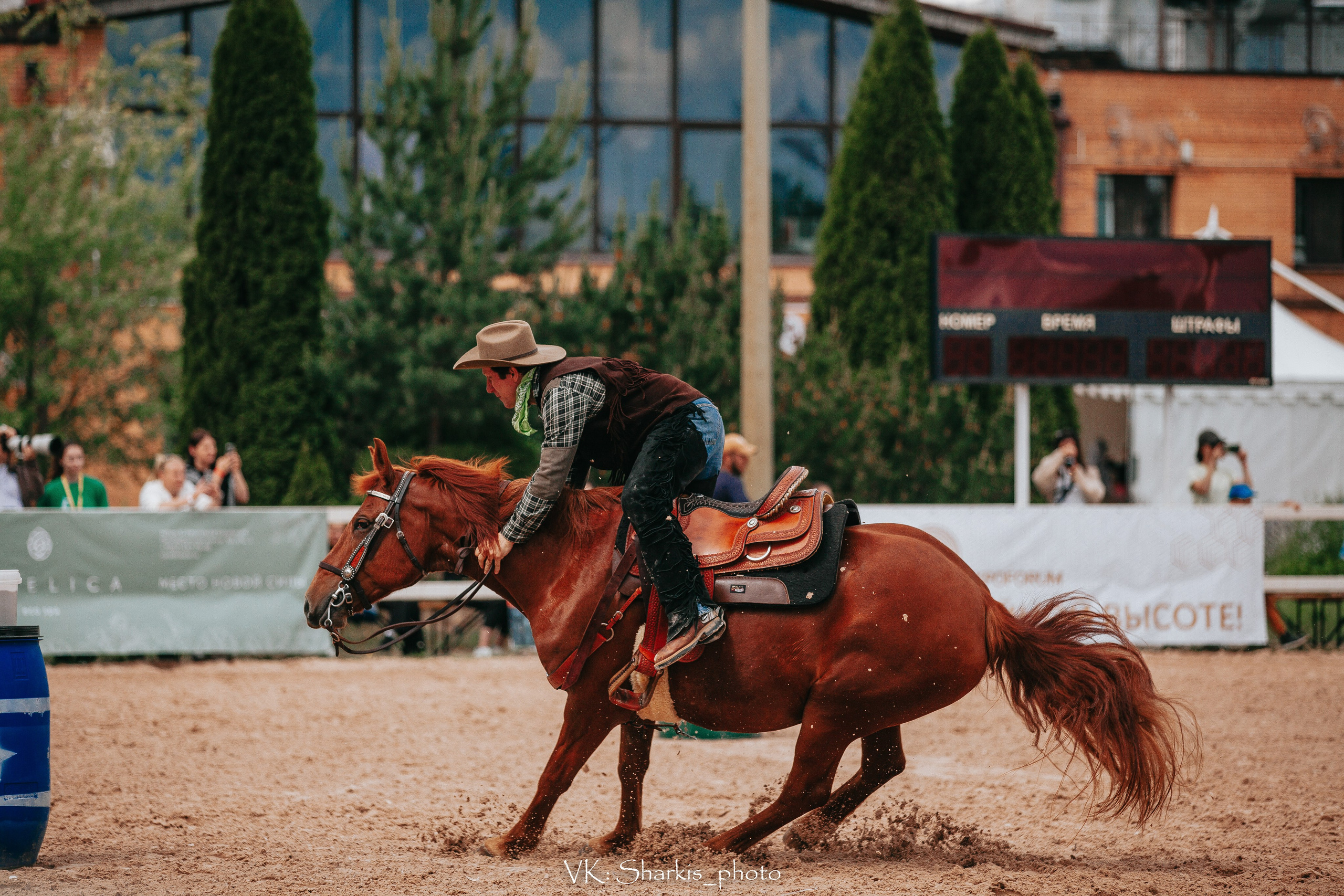 Лошади. Главная