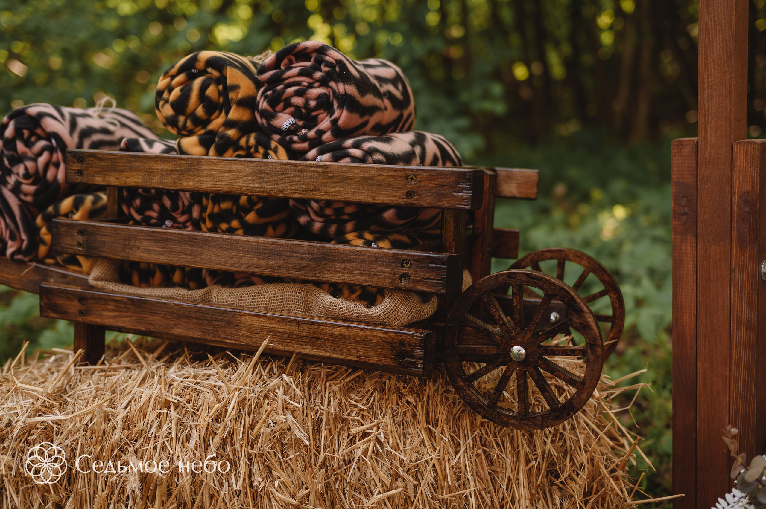 Николай & Елена. Студия декора Седьмое небо