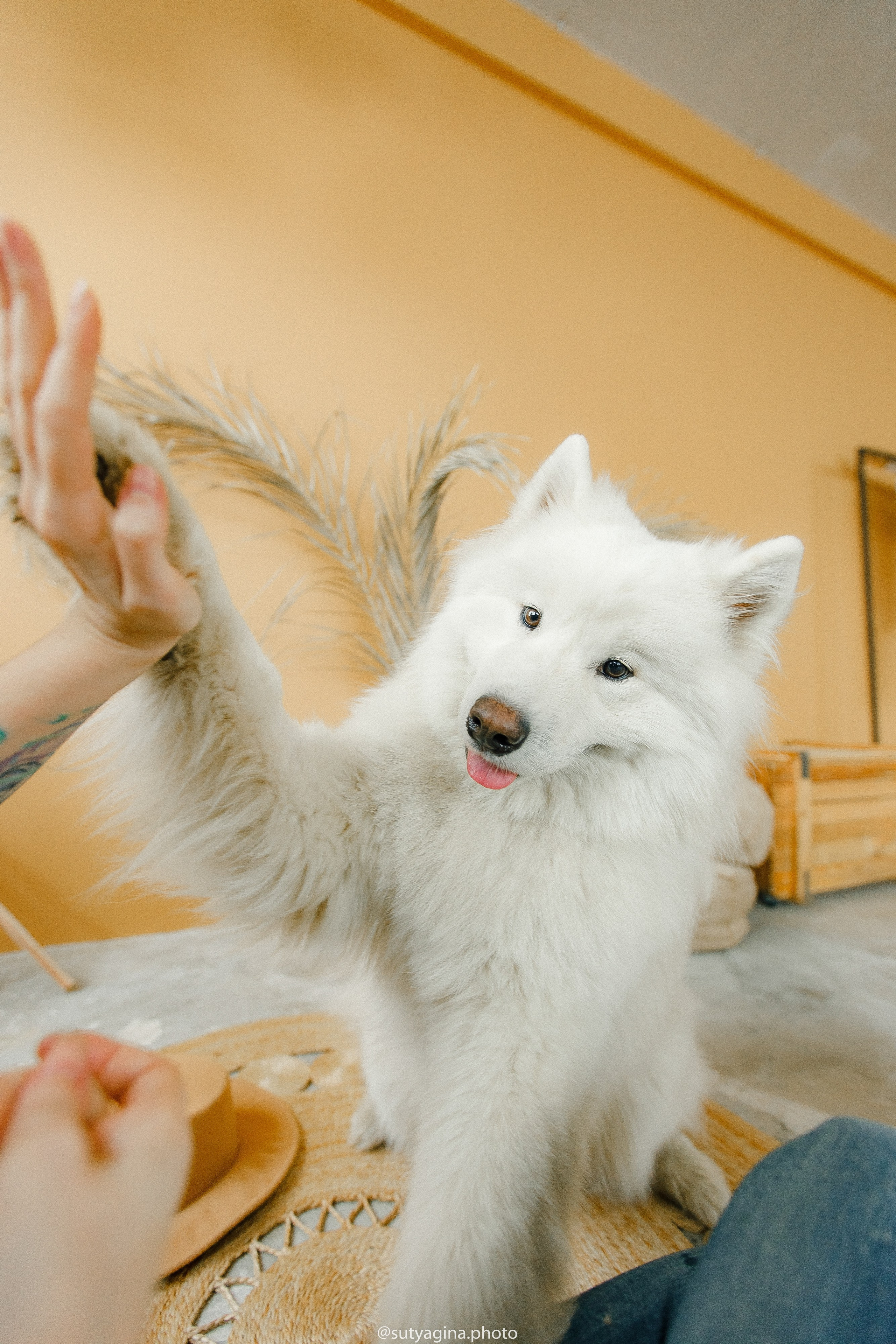 Самоед Мартин. Свадебный и женский фотограф