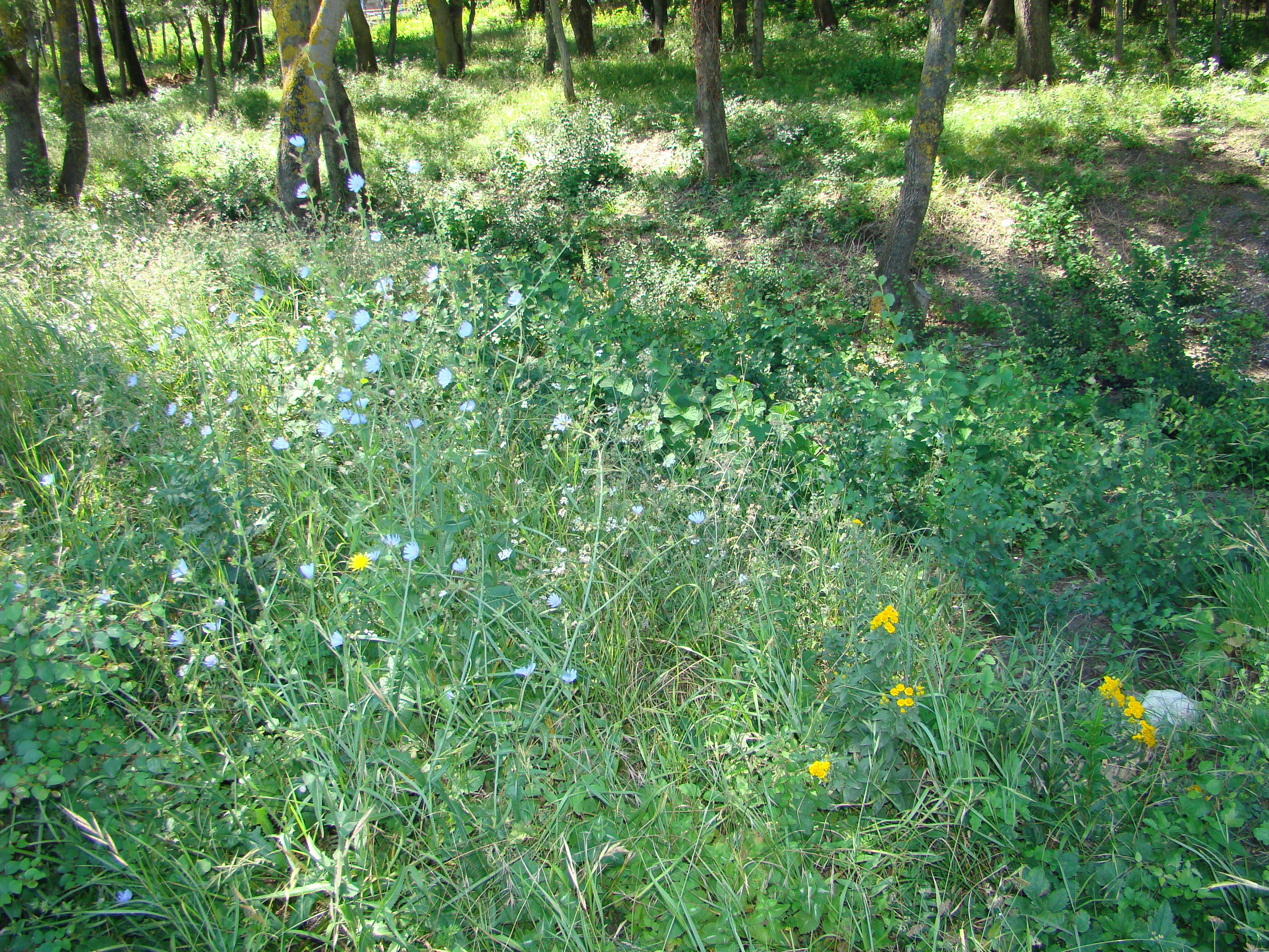 Кабардинка (фото Зевиных) 25.06-24.07.2008. Семейный, Свадебный фотограф СПБ Питер— Романова Екатерина