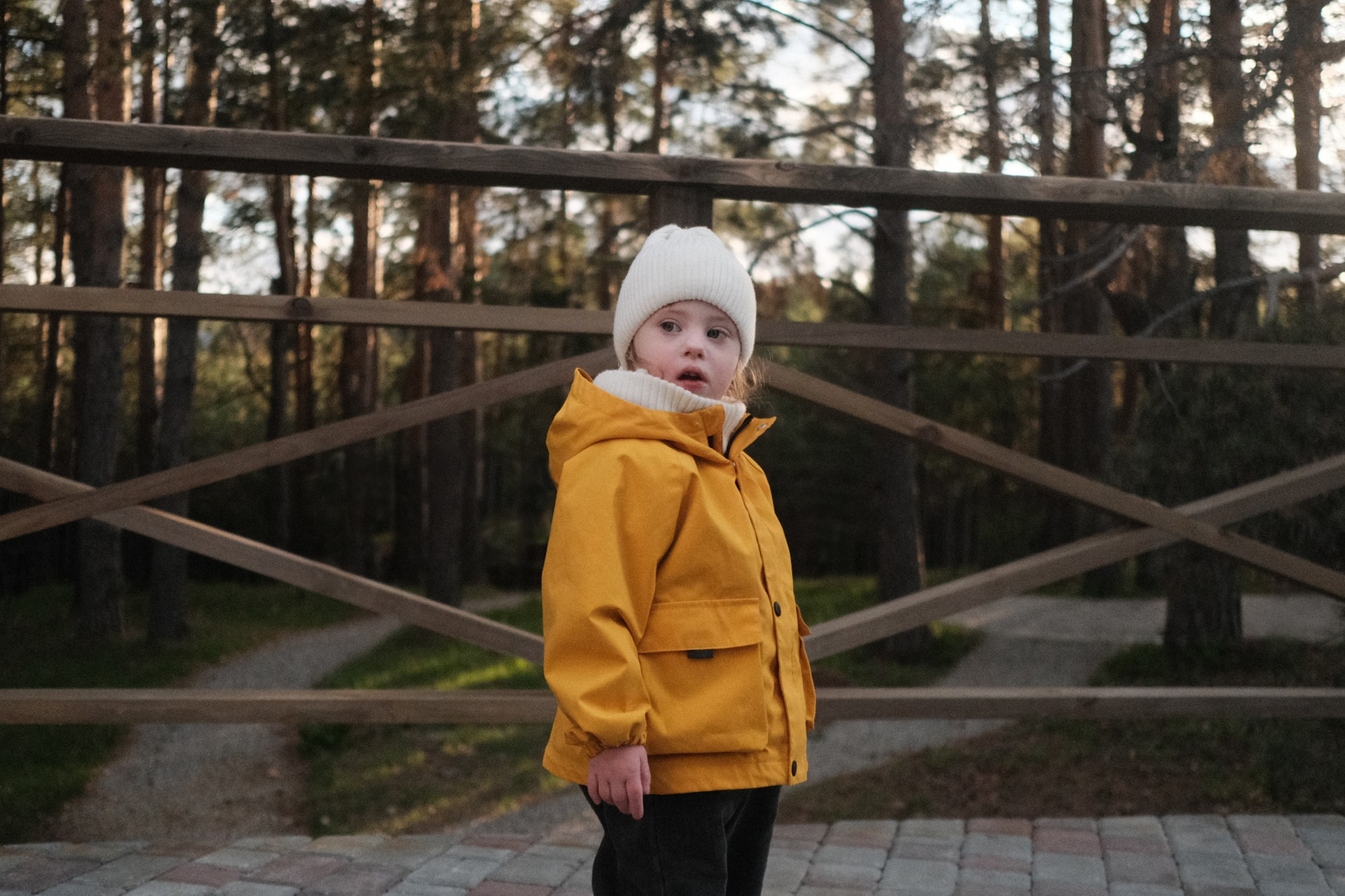 Ферма альпак. Фотография Alexander Palkin