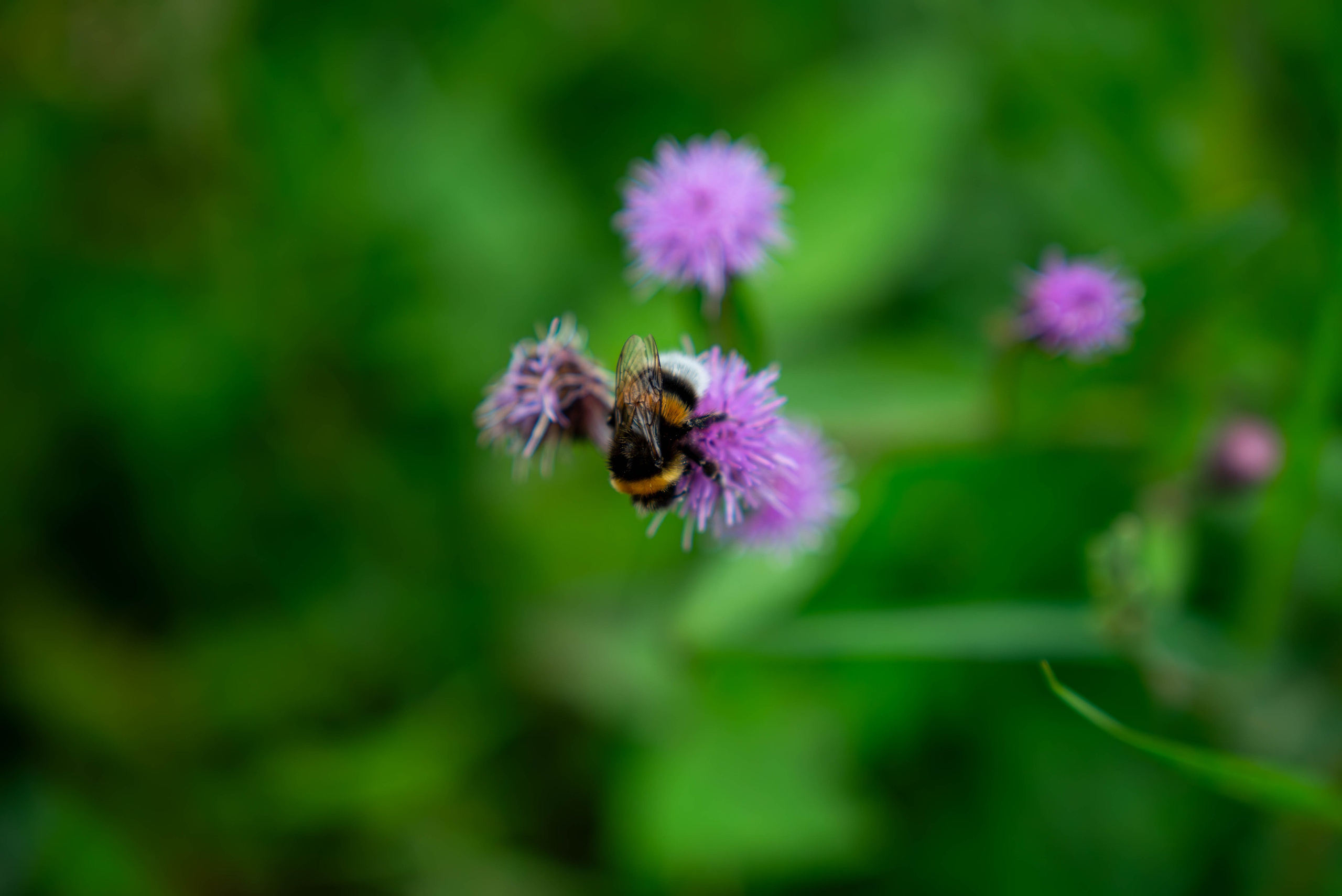 Другие работы. Фуд-фотограф в Кирове Антон Андреев