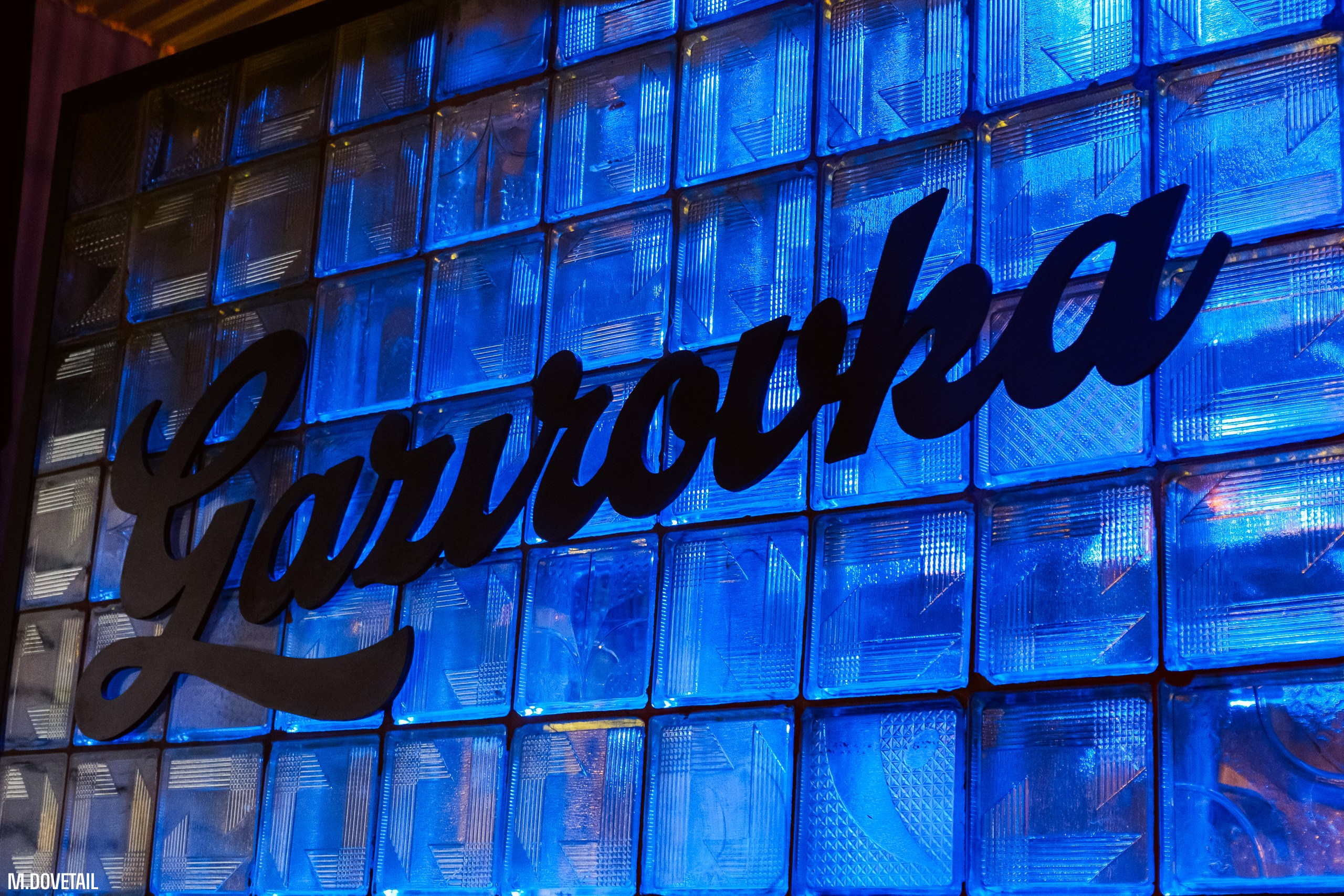 ПОСВЯТ ЧГПУ 2024 | MEMES PARTY. Mike Dovetail | Портретный и репортажный фотограф