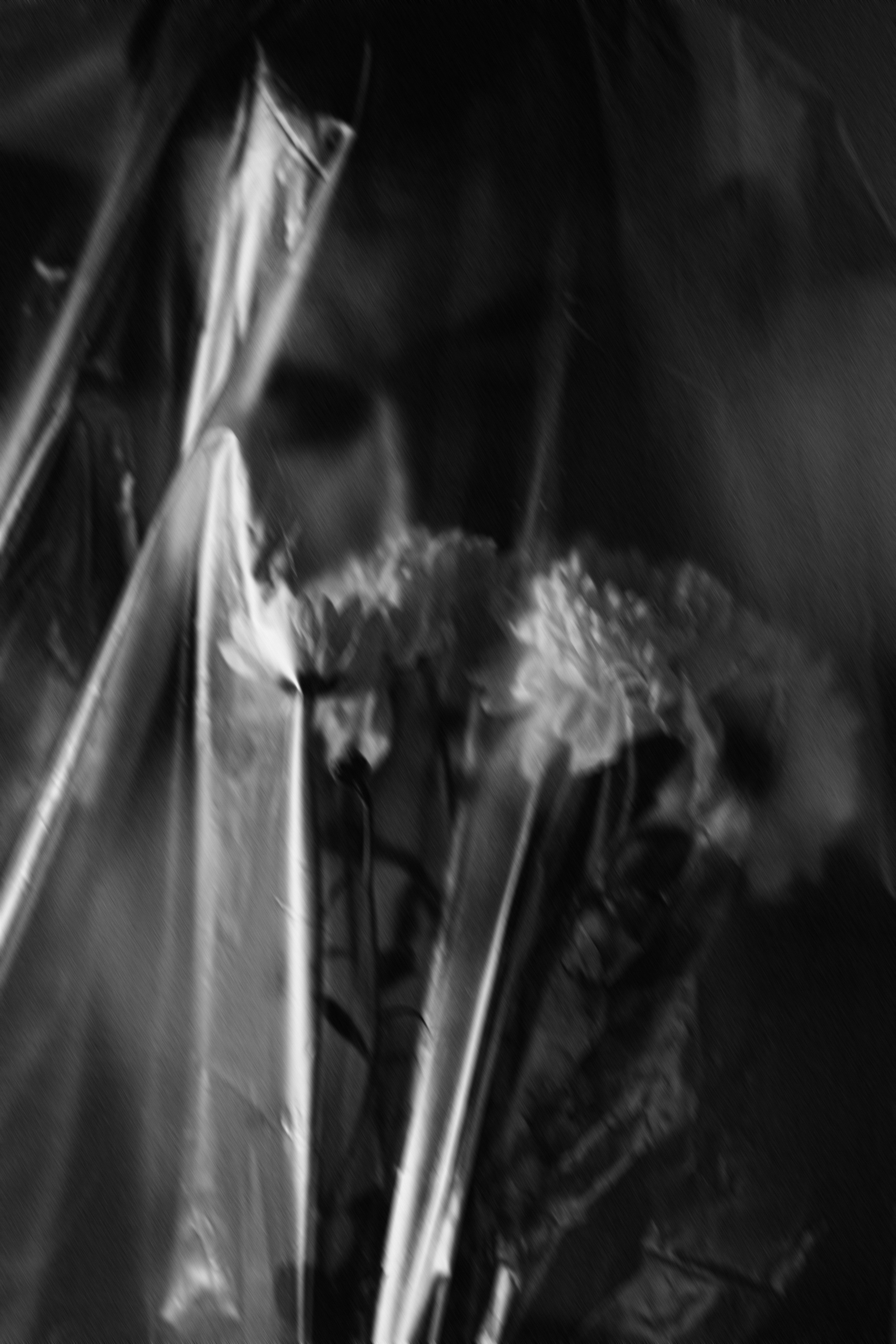 Костя. Фотограф Ершова Светлана