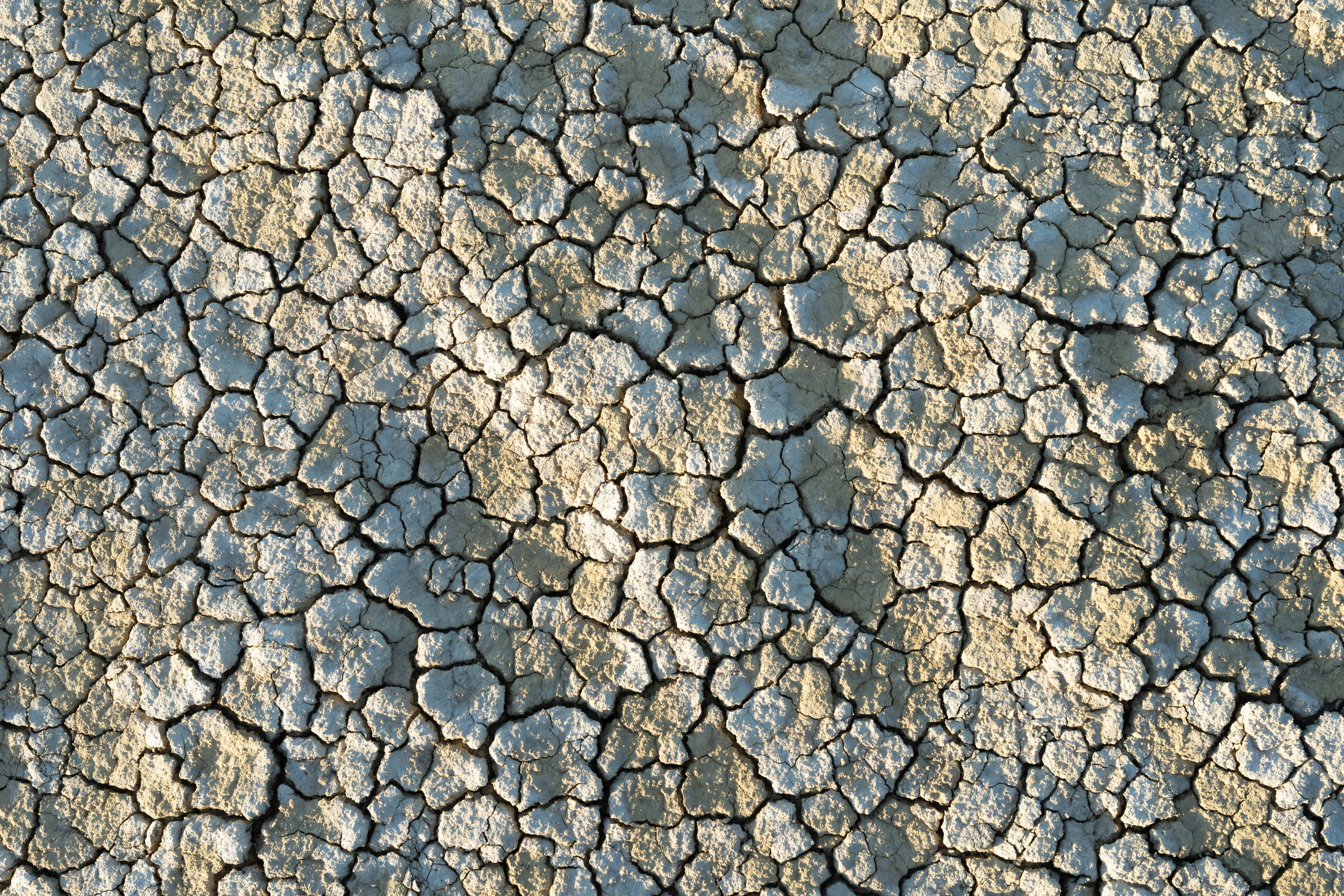 Казахстан. Andrew Gusarov Nature Photography