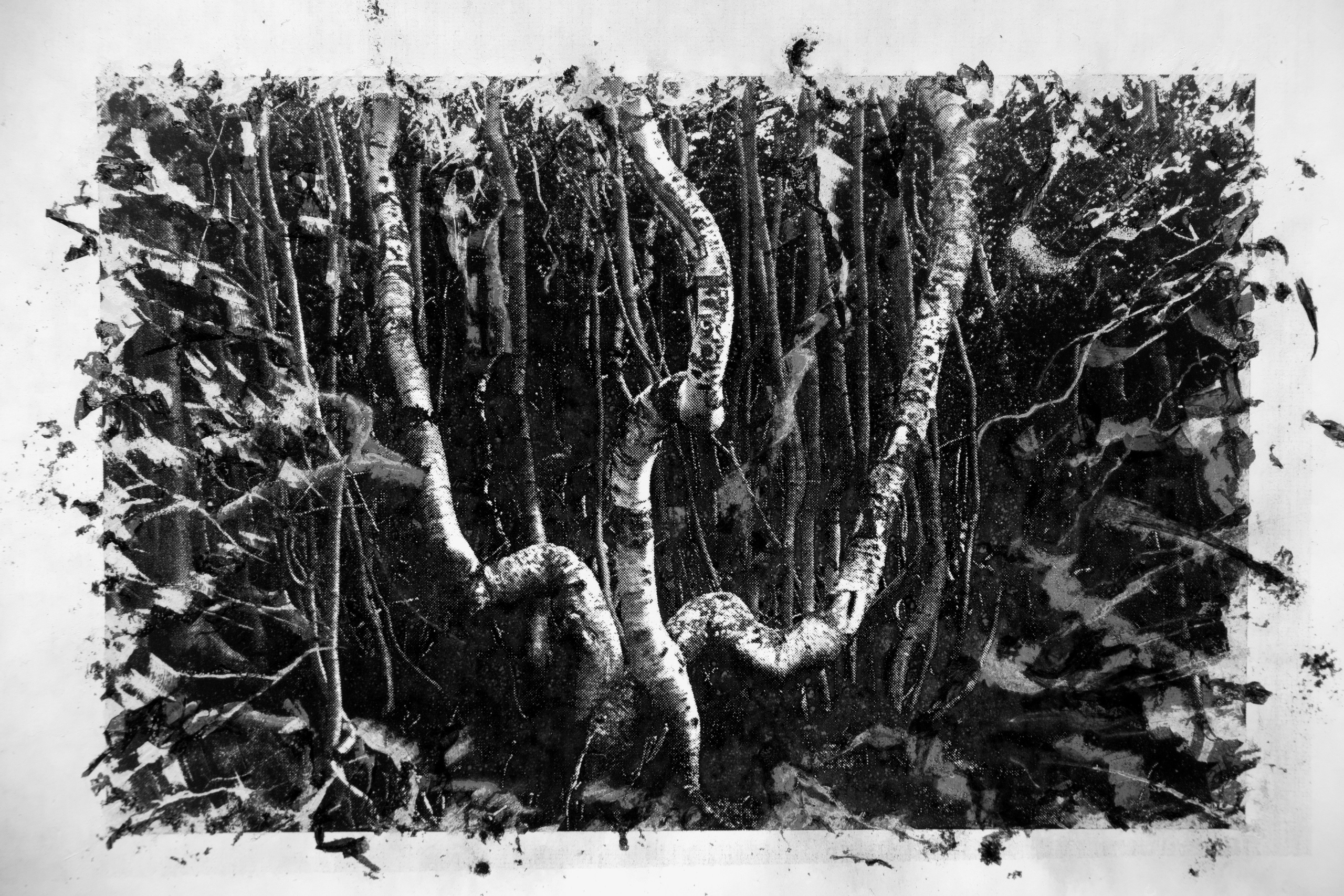 Boundaries of reality. Irina Borodina