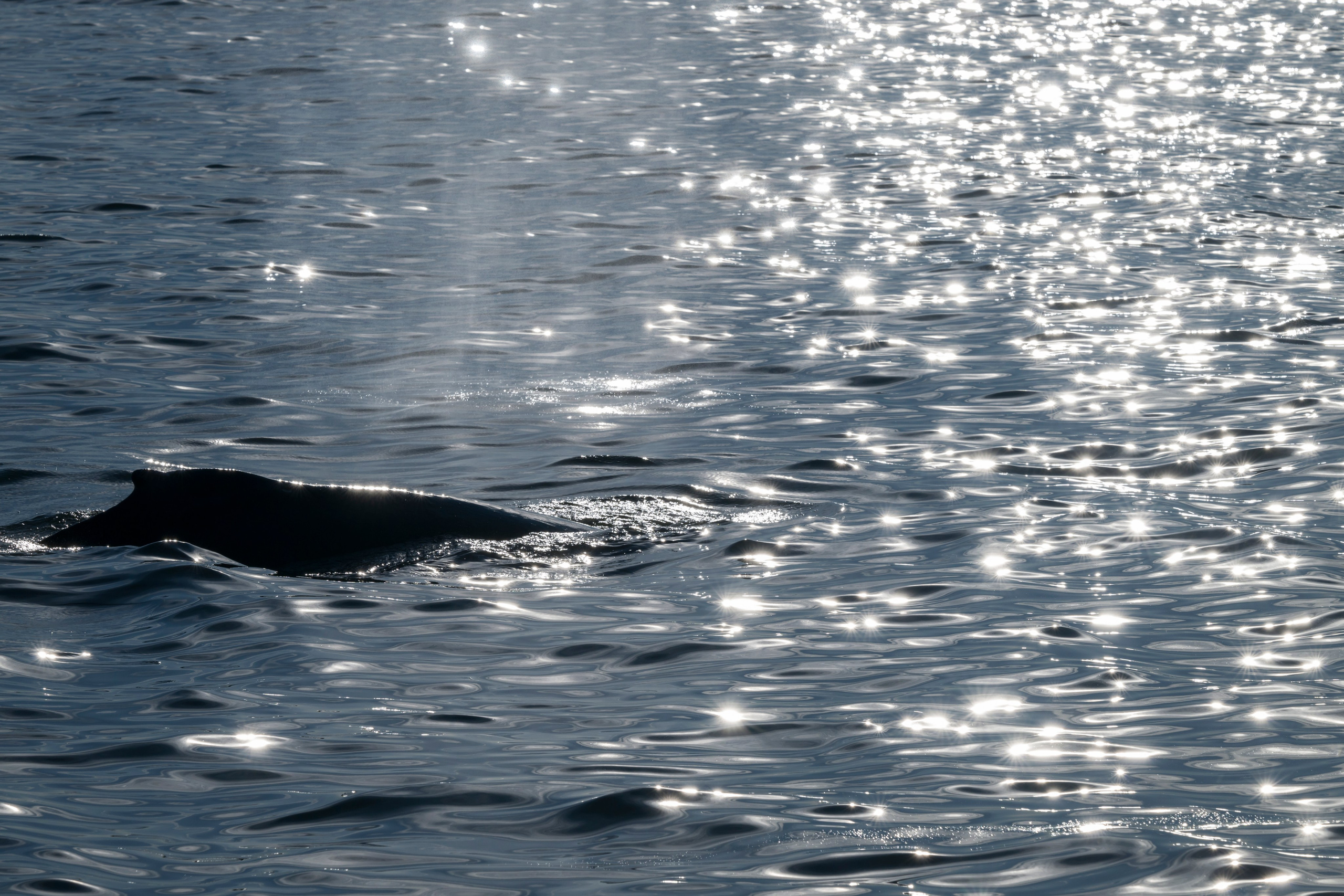 Камчатка. Портретный фотограф в Челябинске Катерина Руди