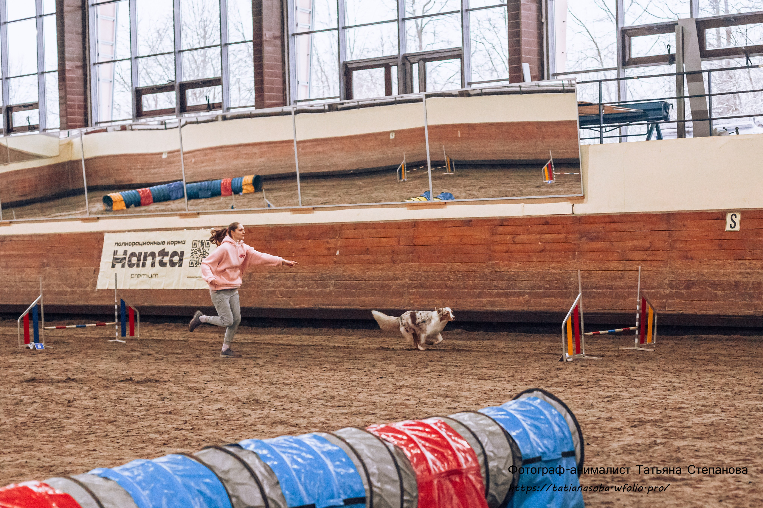 Соревнования по Аджилити 25.02.2024. Фотограф-анималист Татьяна Степанова