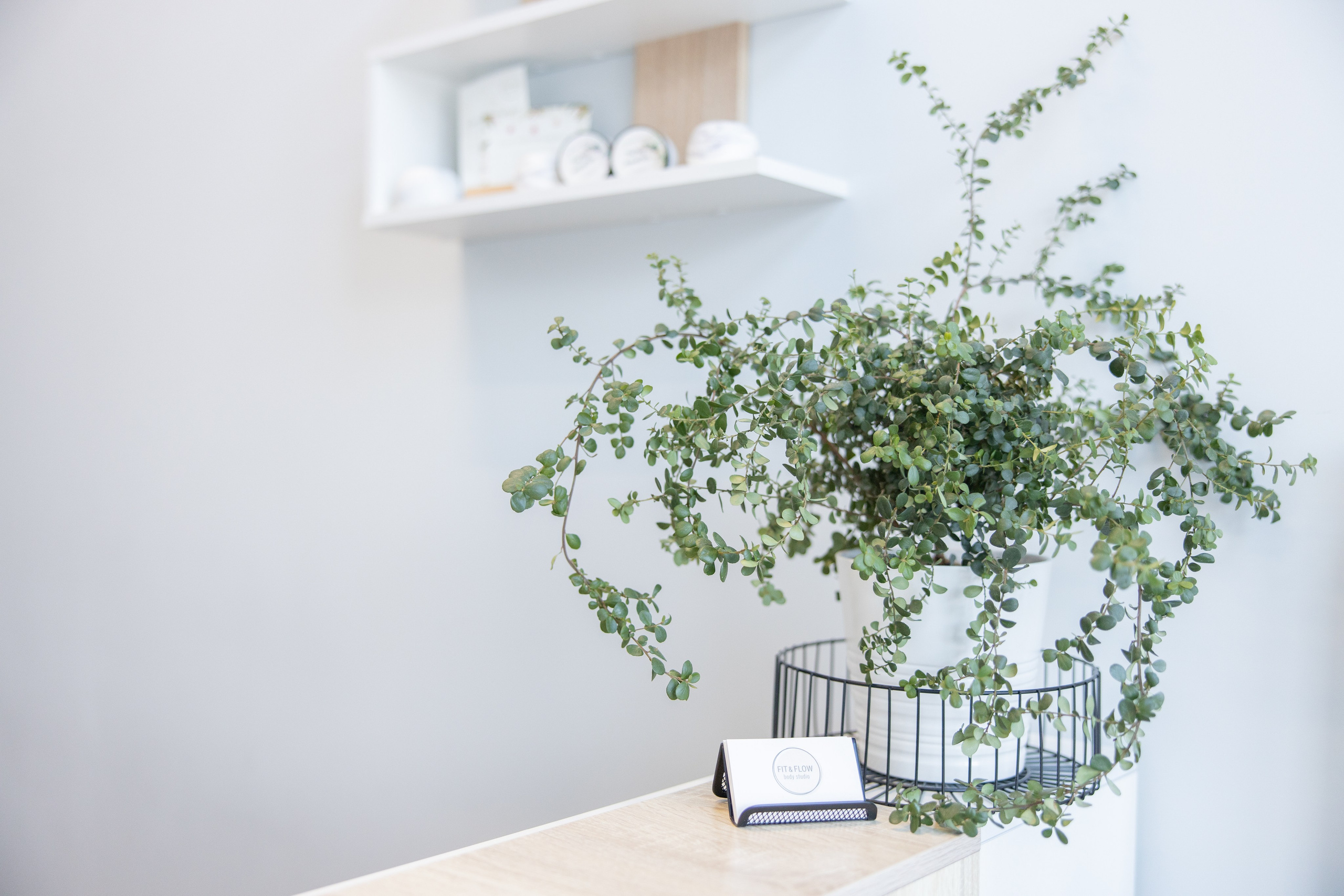 Йога центр, Интерьер. Свадебный фотограф | Москва