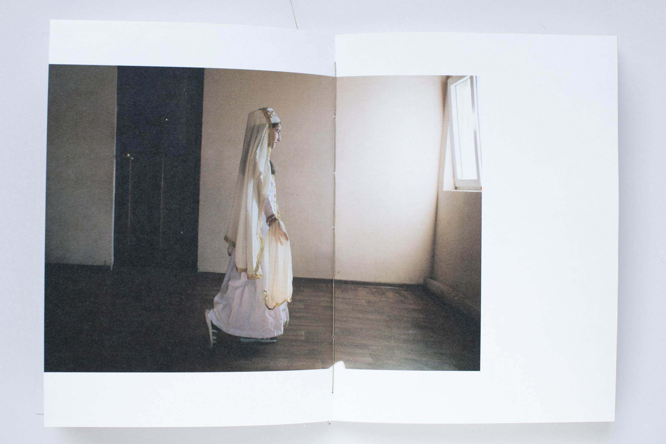 Зин «Про деревья, насекомых и людей». Natalya Madilyan