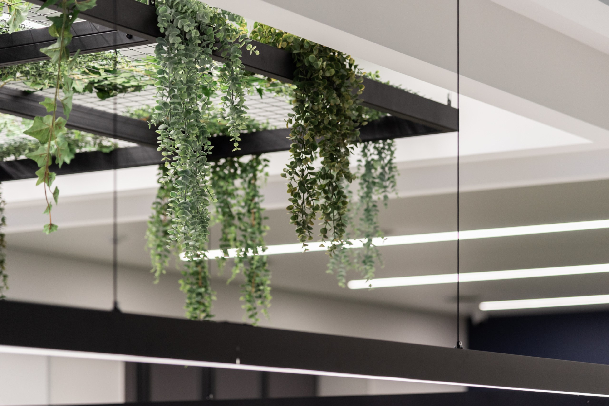 Зубная Академия | 2024. Архитектурный фотограф и 3D-художник Антон Мельников