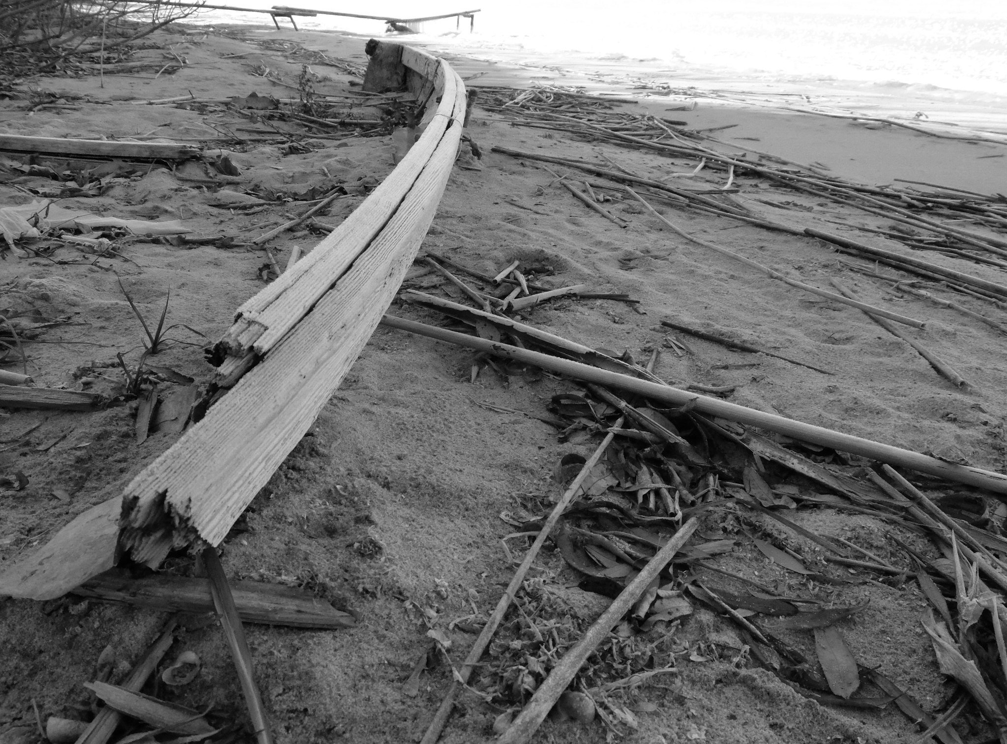 Внутривенные сны (2018-2023)