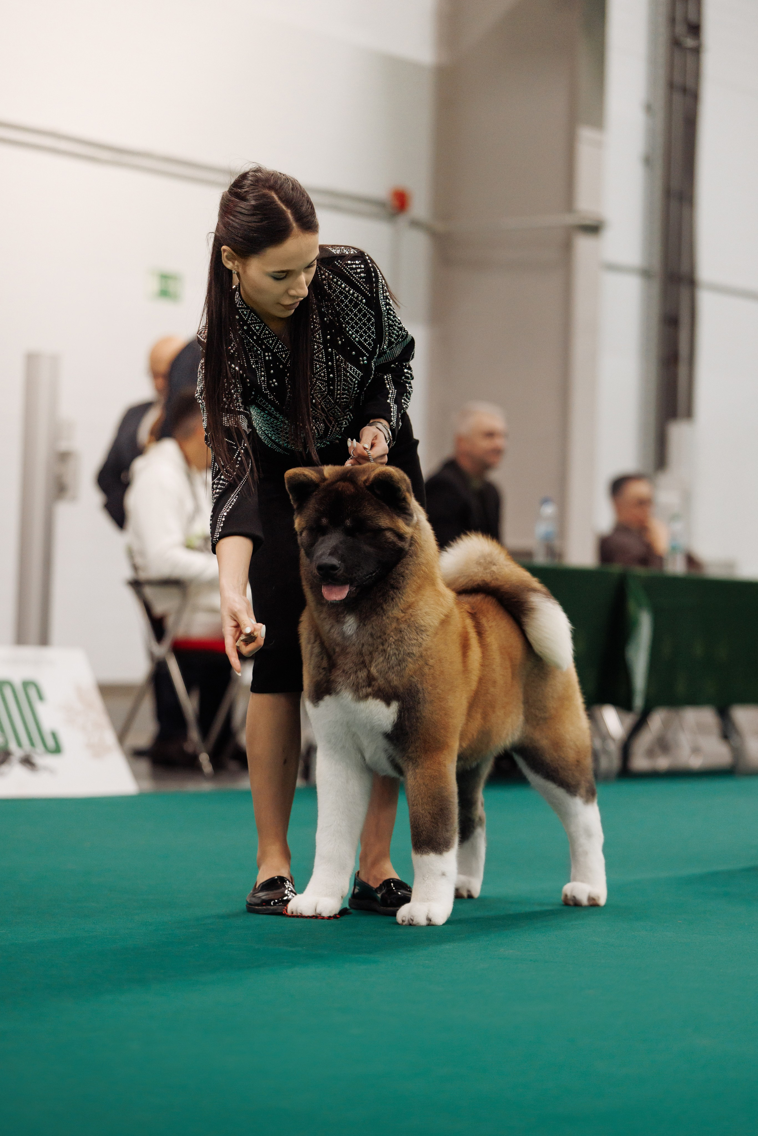 29-30.11.2025 — Казань «Зилант». Фотограф-анималист Саша Вязьмина
