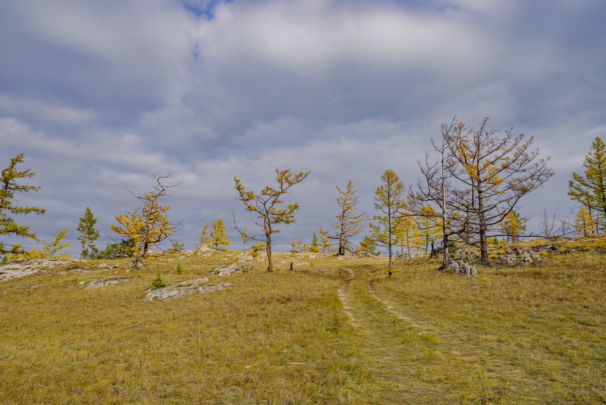 Пейзажи. Семейный и свадебный фотограф в Иркутске Максим Жигалов