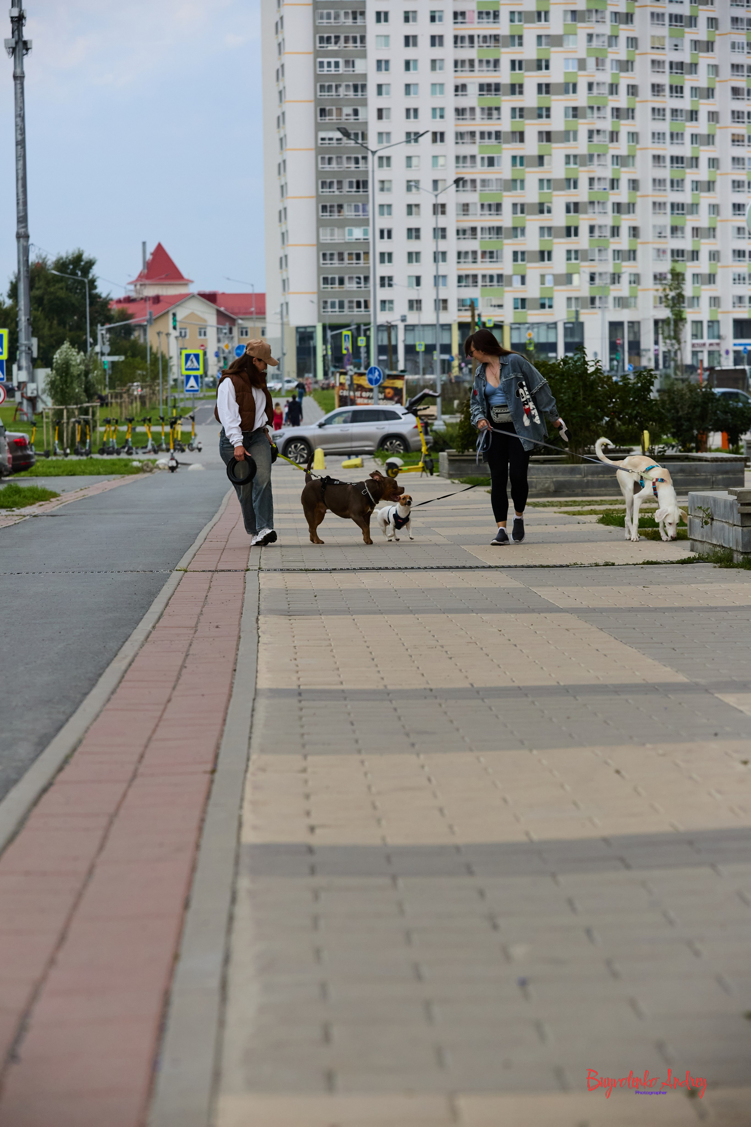 Проект фотопрогулка с хвостиком. Buyvolenko Andrey