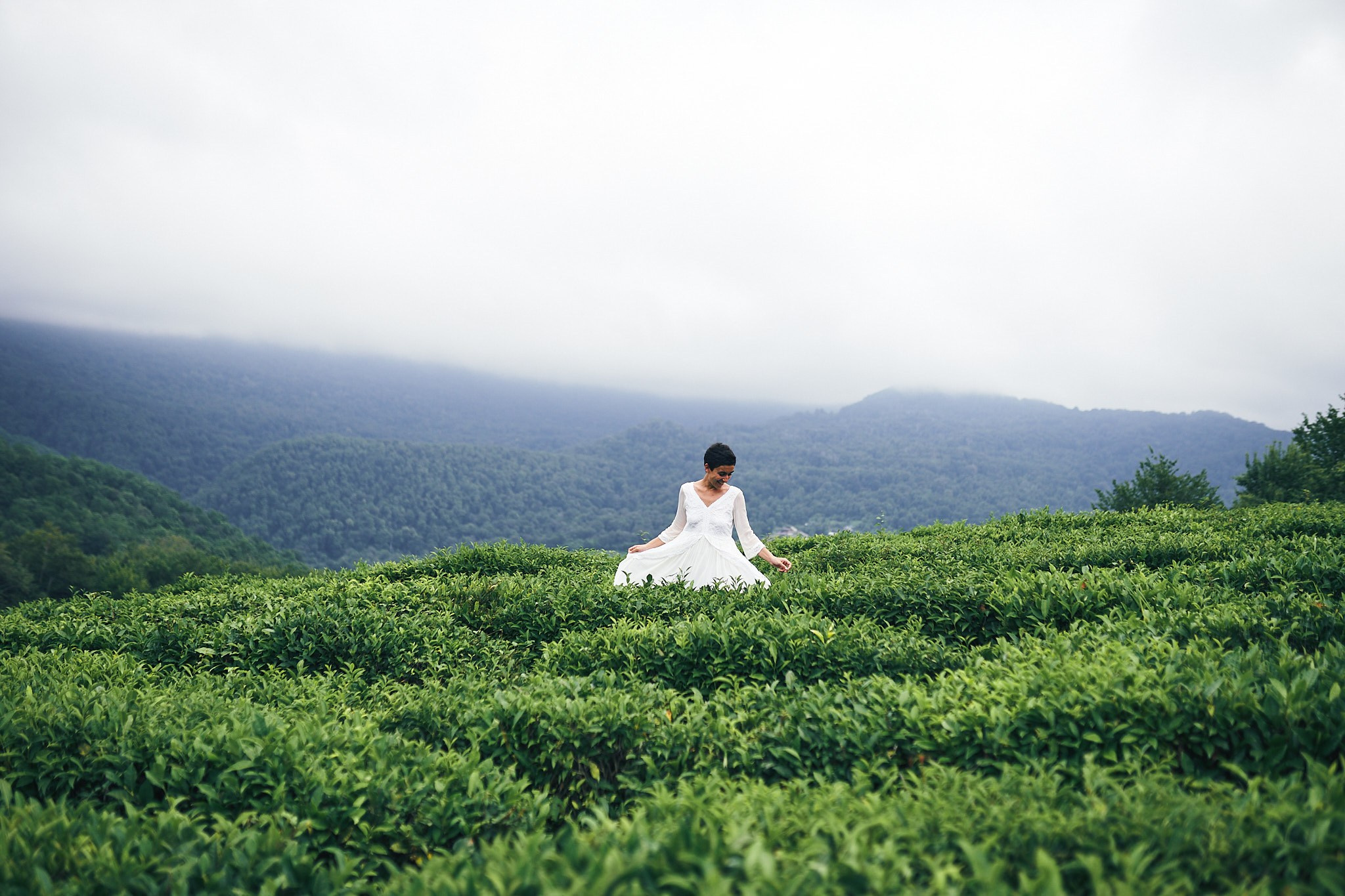 Чайные плантации. Фотограф в Сочи Катя Гончарова