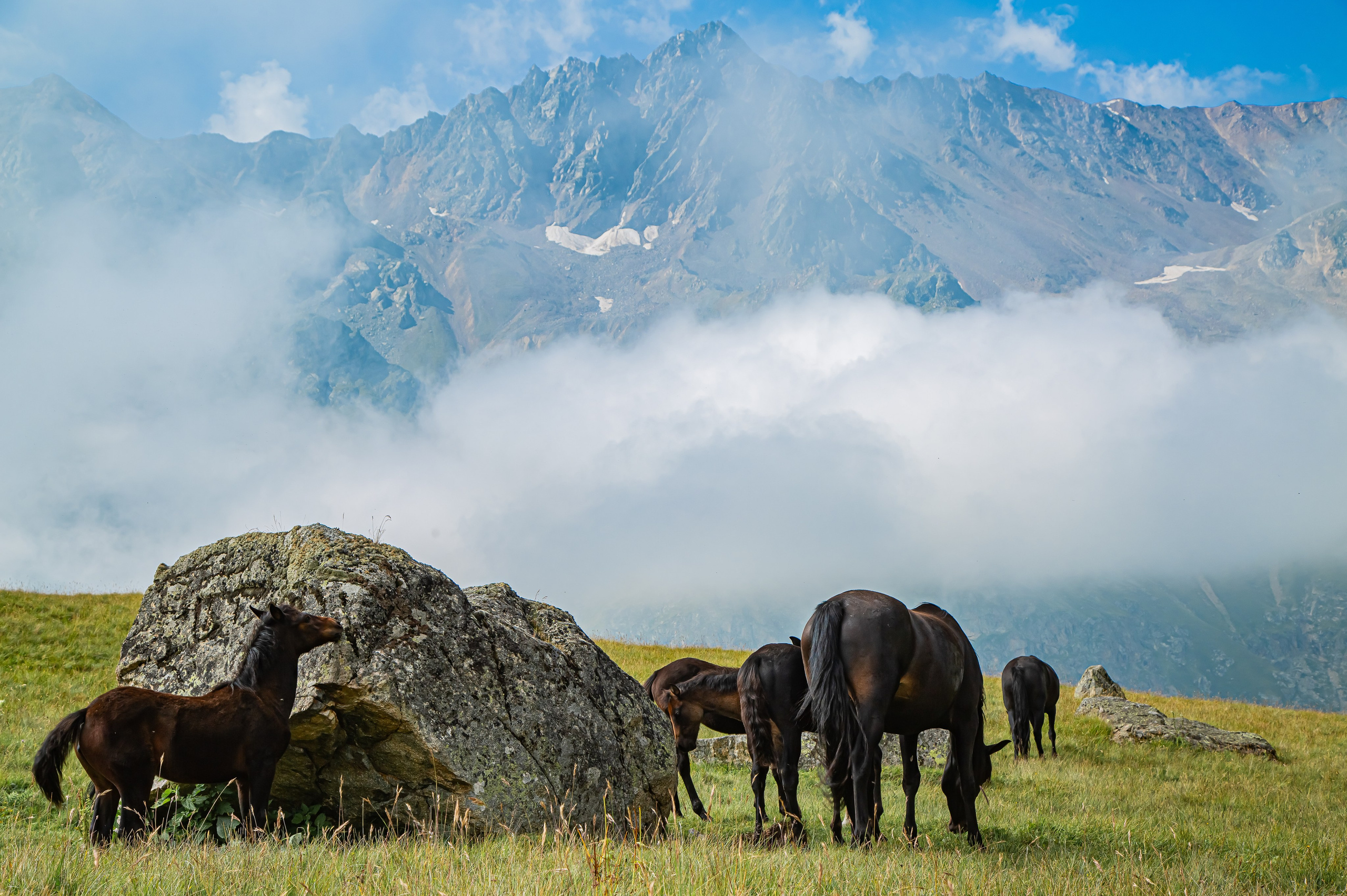 КАВКАЗ. Авторские туры с профессиональным фотографом