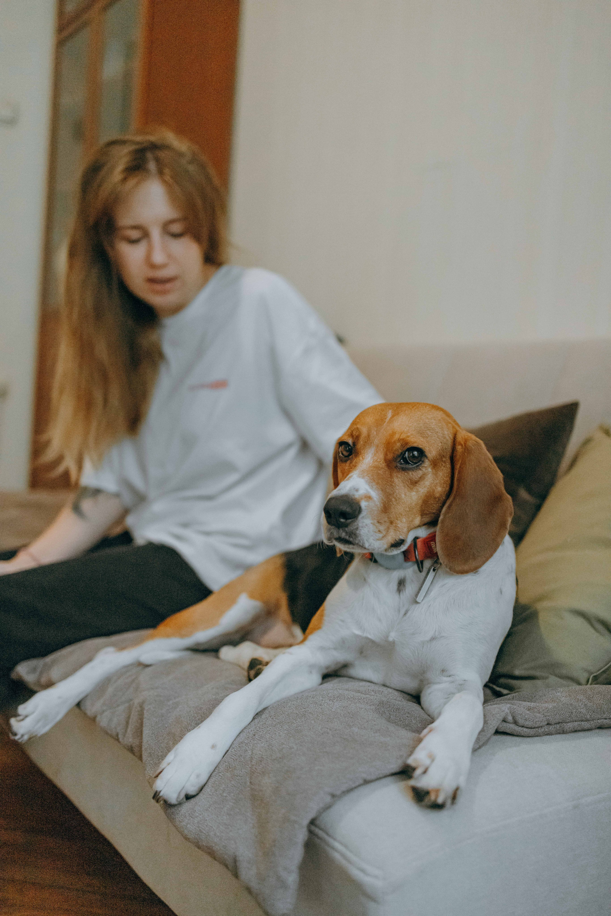 Света и Ива. Фотограф-анималист в Москве Лера Черноног