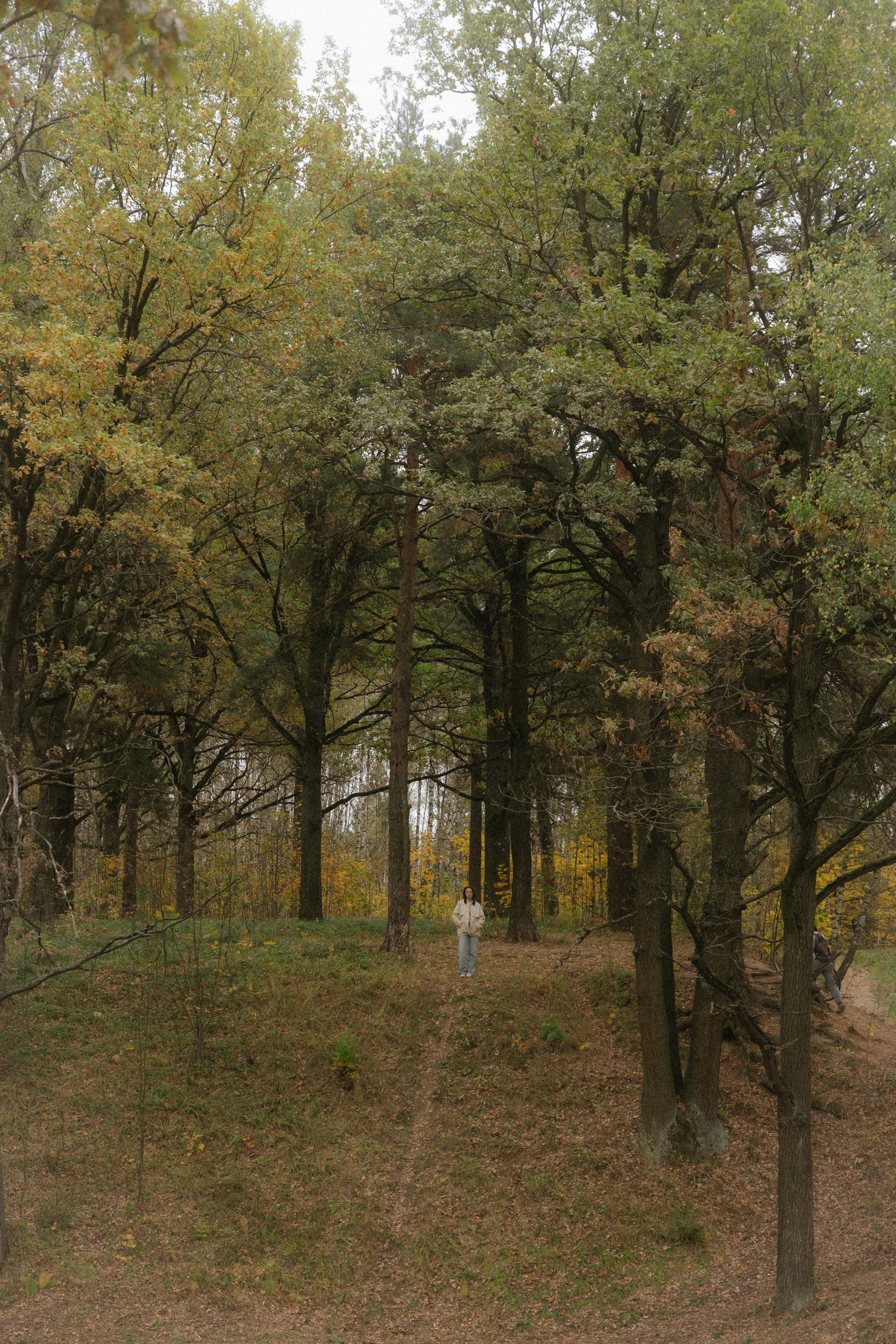 Наташа. Семейный и детский фотограф Юлия Шох