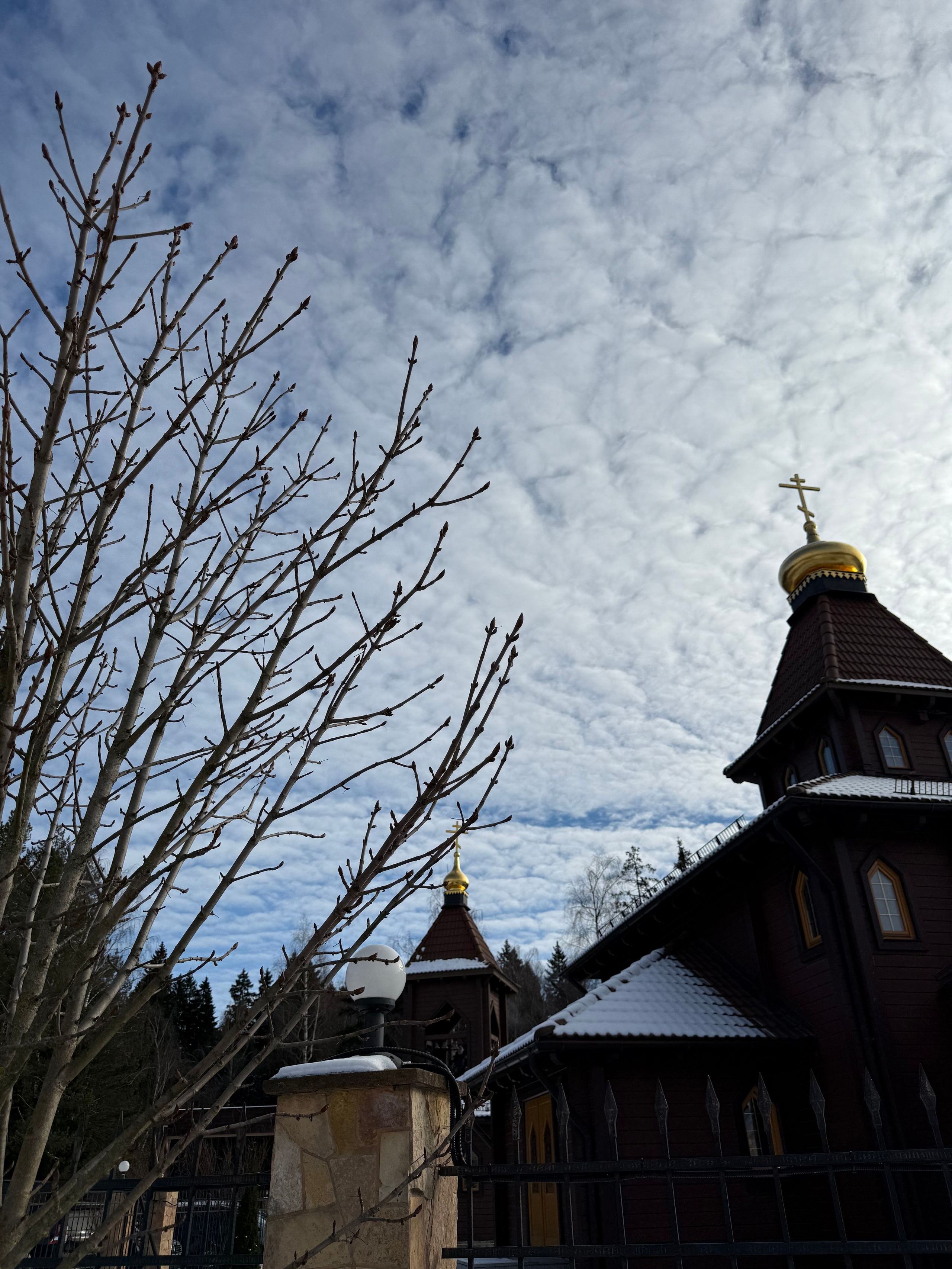 Фотограф Москва. Фотограф и художник в Москве Евгения Нюнина