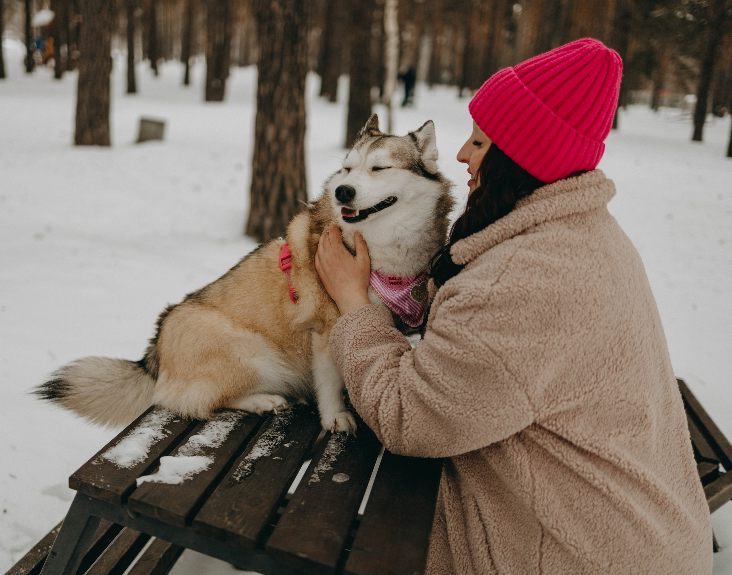 Варвара и Шелби. Фотограф-анималист в Екатеринбурге | Кристина