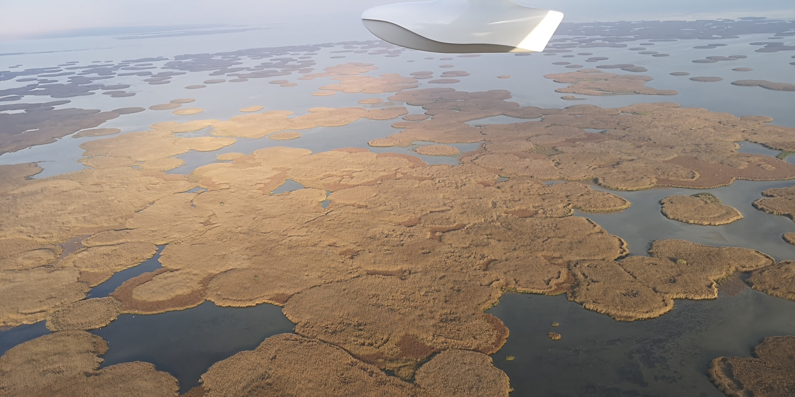 Каспийское море (наука на Ла-8) (2021 г.). Фотоальбом показывающий увлекательный мир авиации и мир медведей Андрея Иванова