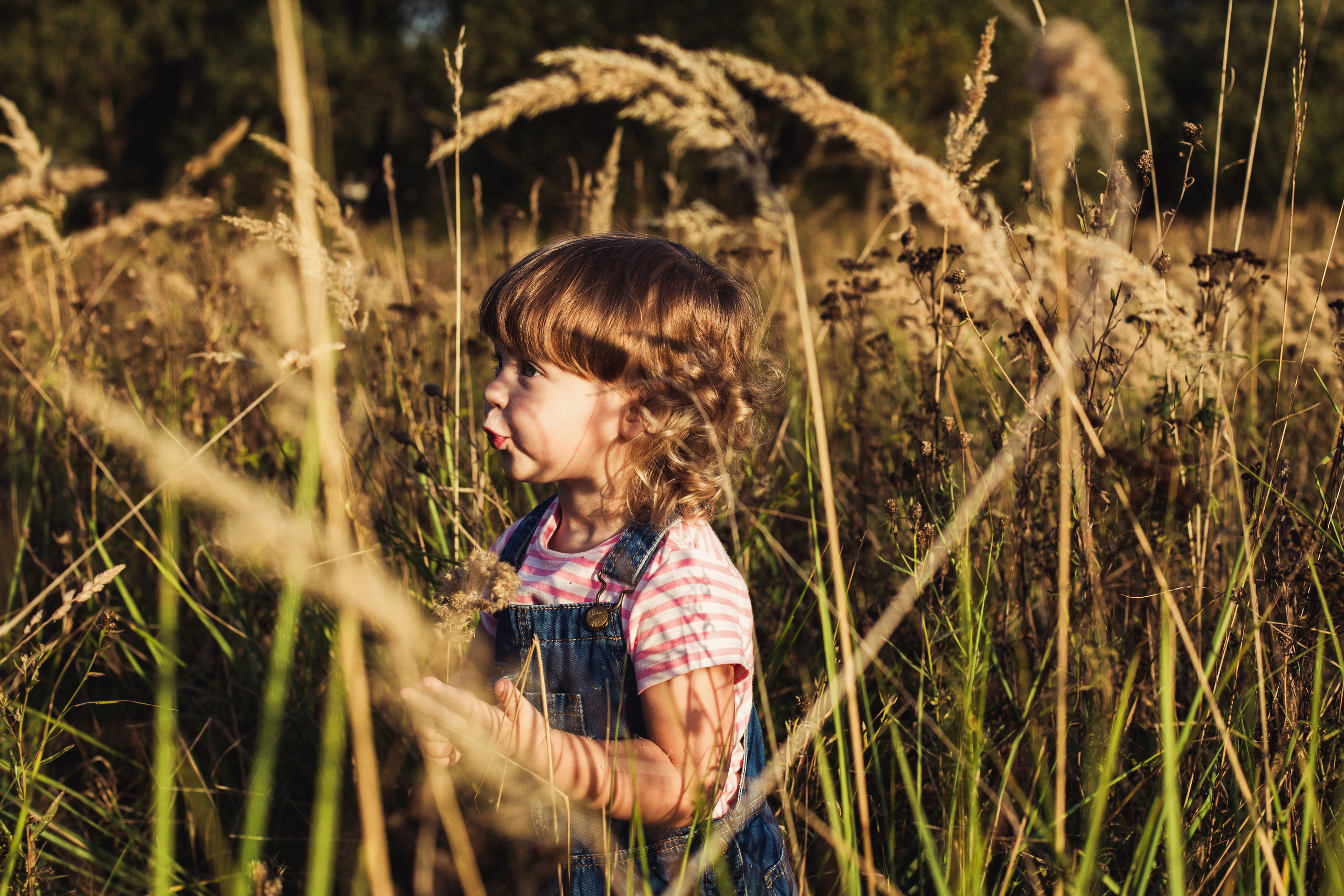 Мини-прогулка в поле. Семейный фотограф Фрязино Зрячева Кристина