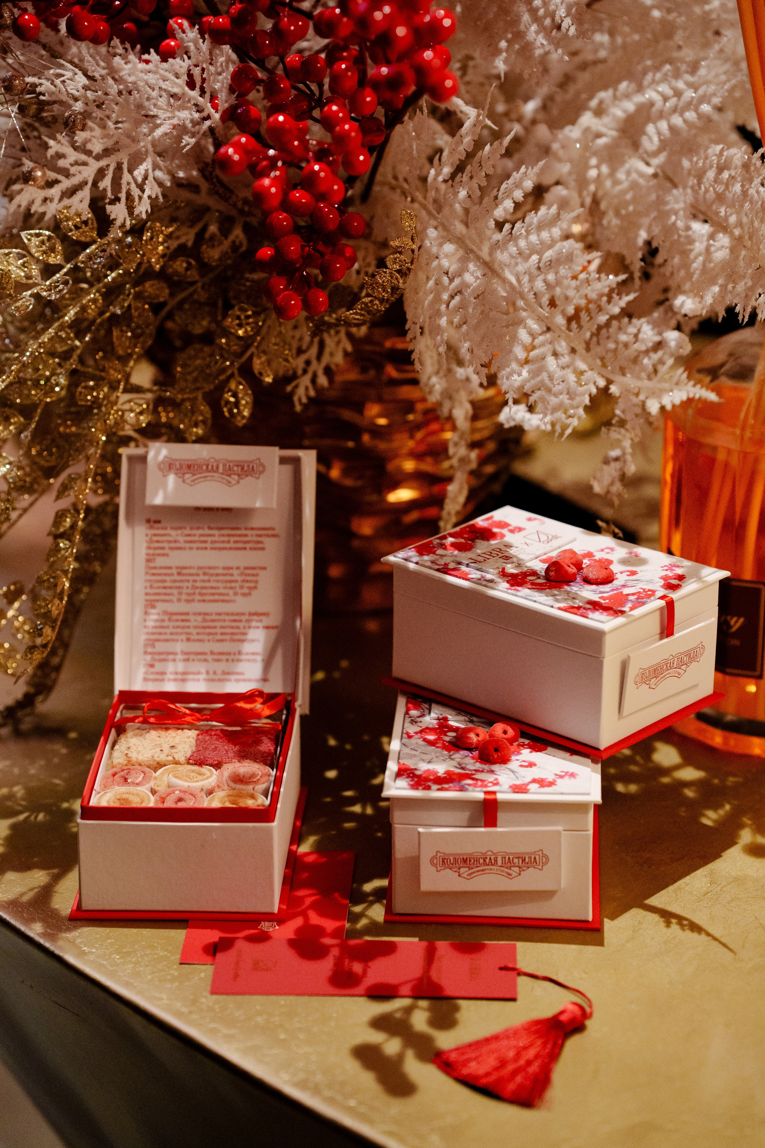 LIBRA. Репортажный фотограф Москва Сергей Дружинин