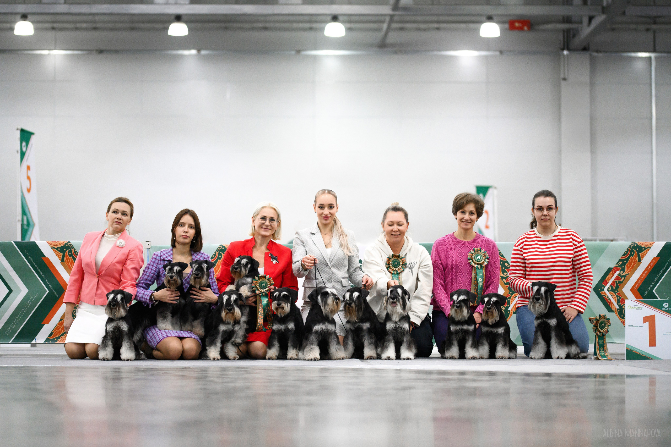 Собаки. FASHION ФОТОГРАФ КАЗАНЬ